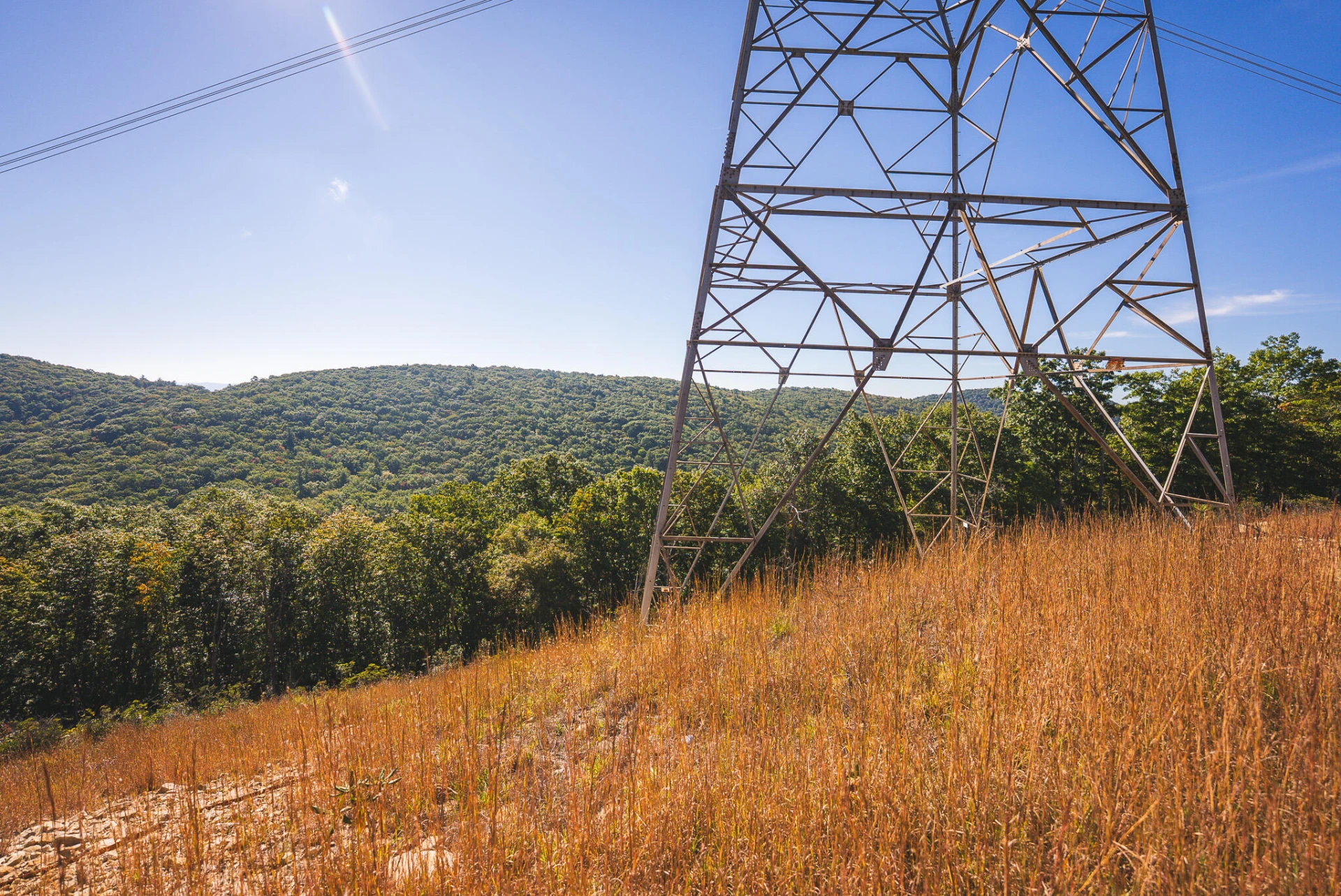 TBD Gator Mountain RD - Photo 37