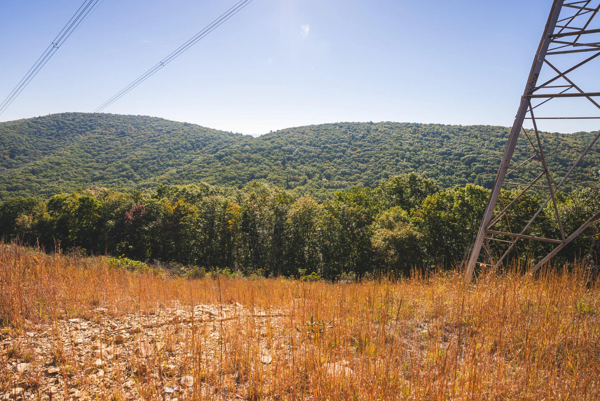 TBD Gator Mountain RD - Photo 38