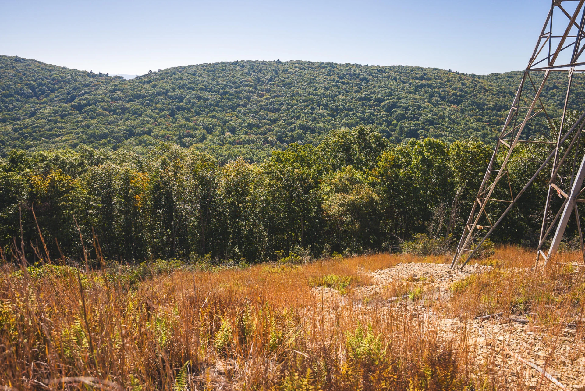 TBD Gator Mountain RD - Photo 39