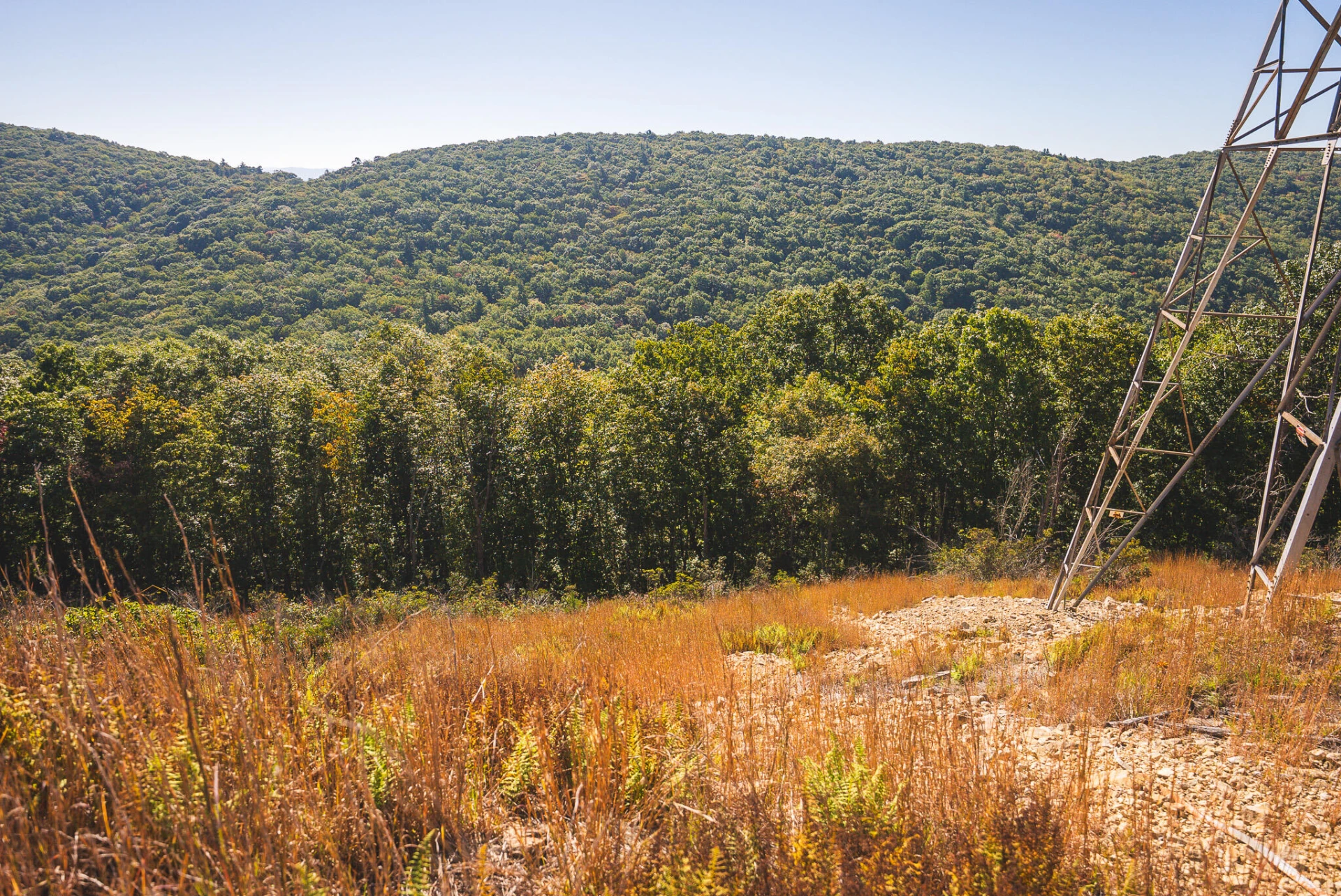 TBD Gator Mountain RD - Photo 40