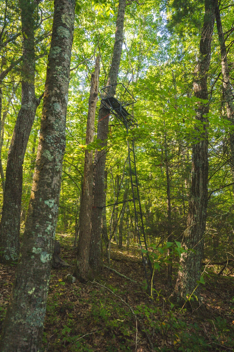 TBD Gator Mountain RD - Photo 41