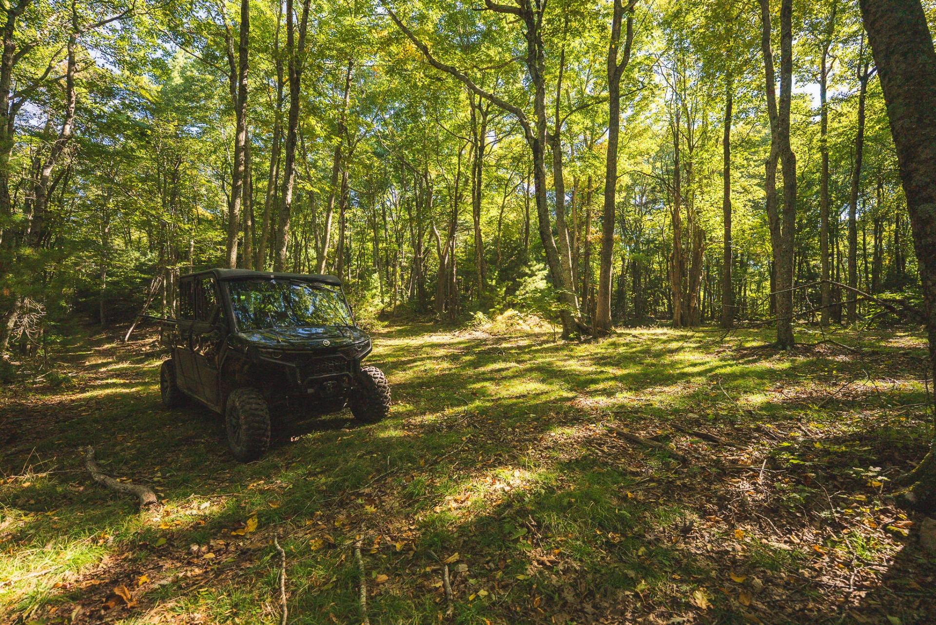 TBD Gator Mountain RD - Photo 47