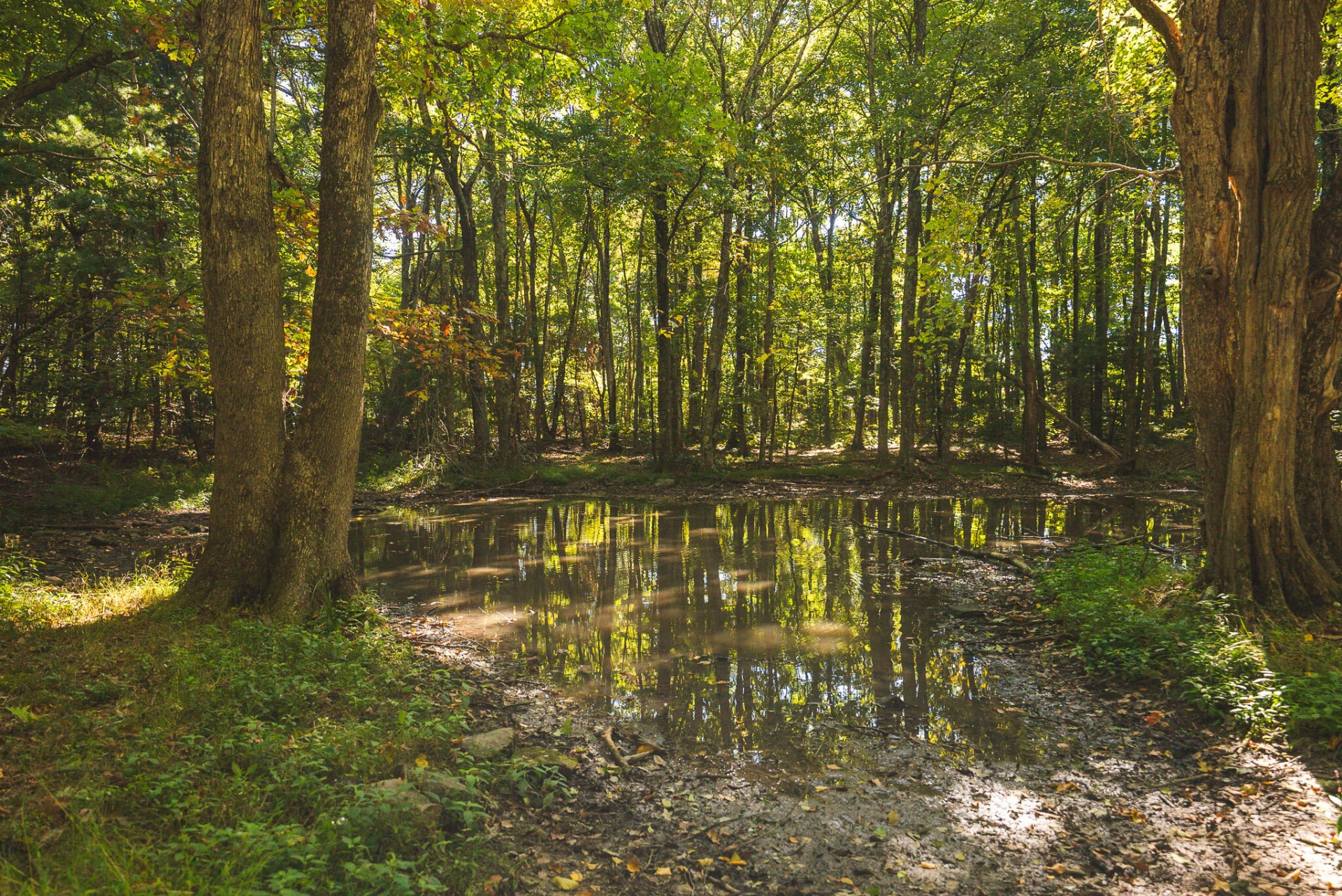 TBD Gator Mountain RD - Photo 51
