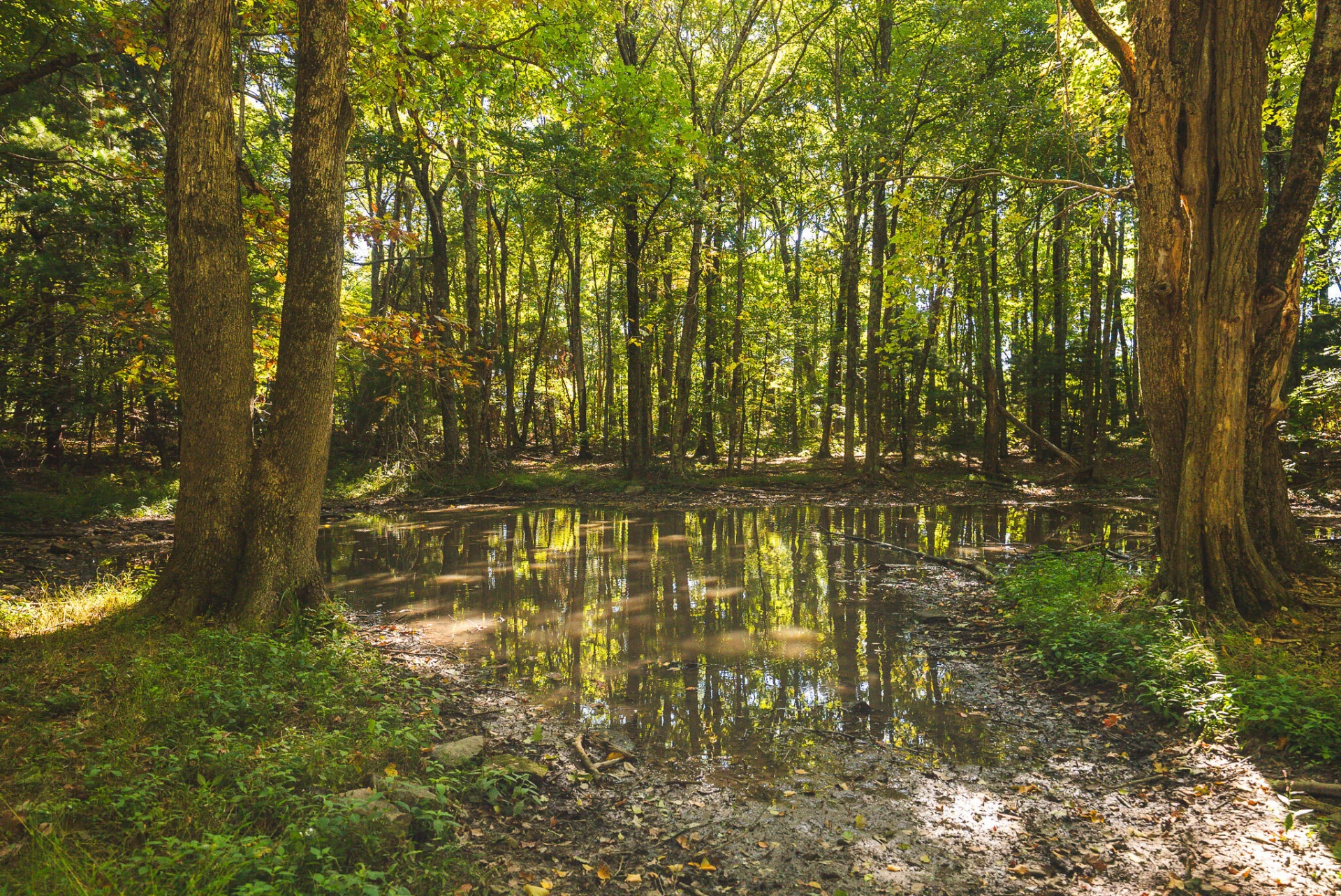 TBD Gator Mountain RD - Photo 52