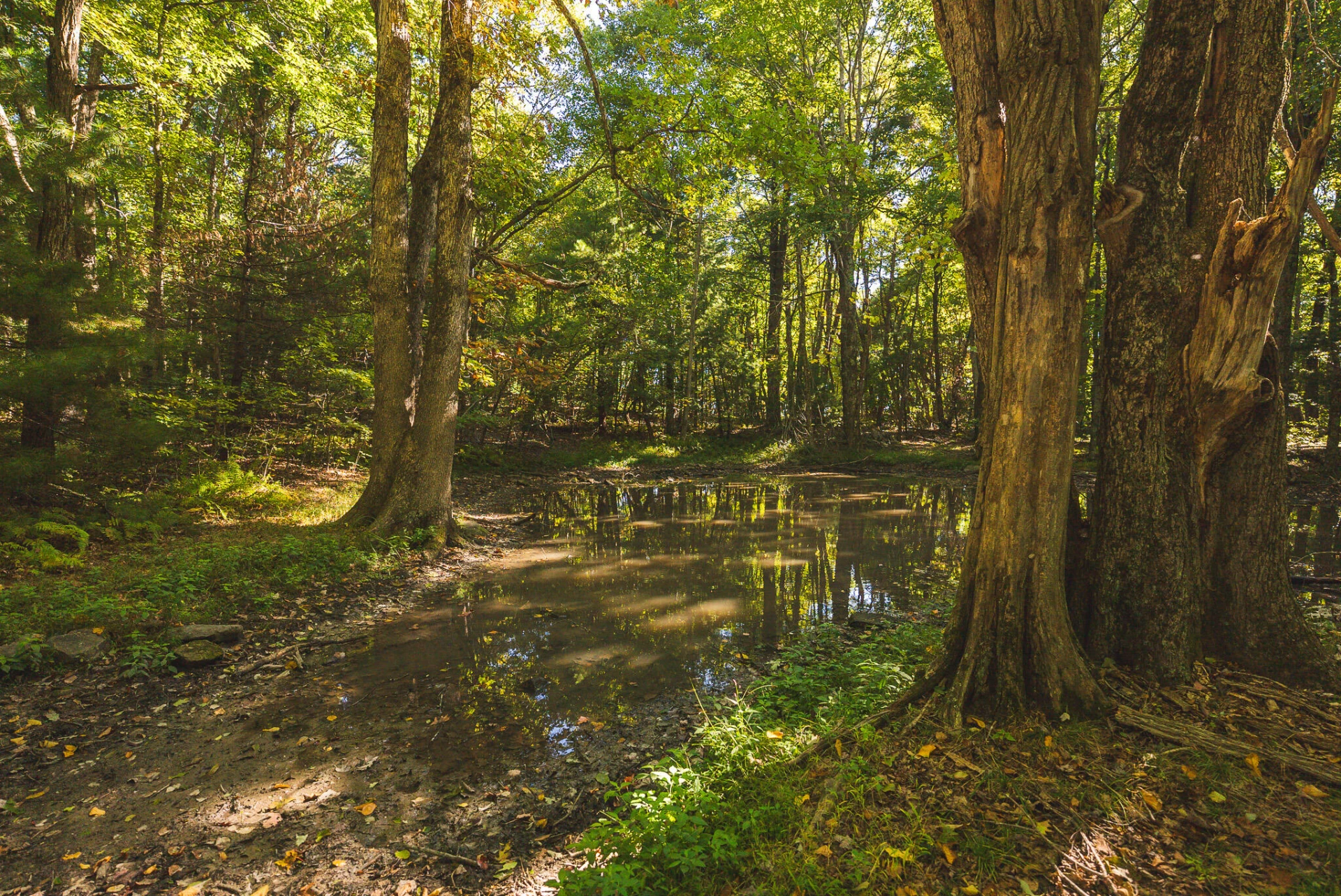 TBD Gator Mountain RD - Photo 53