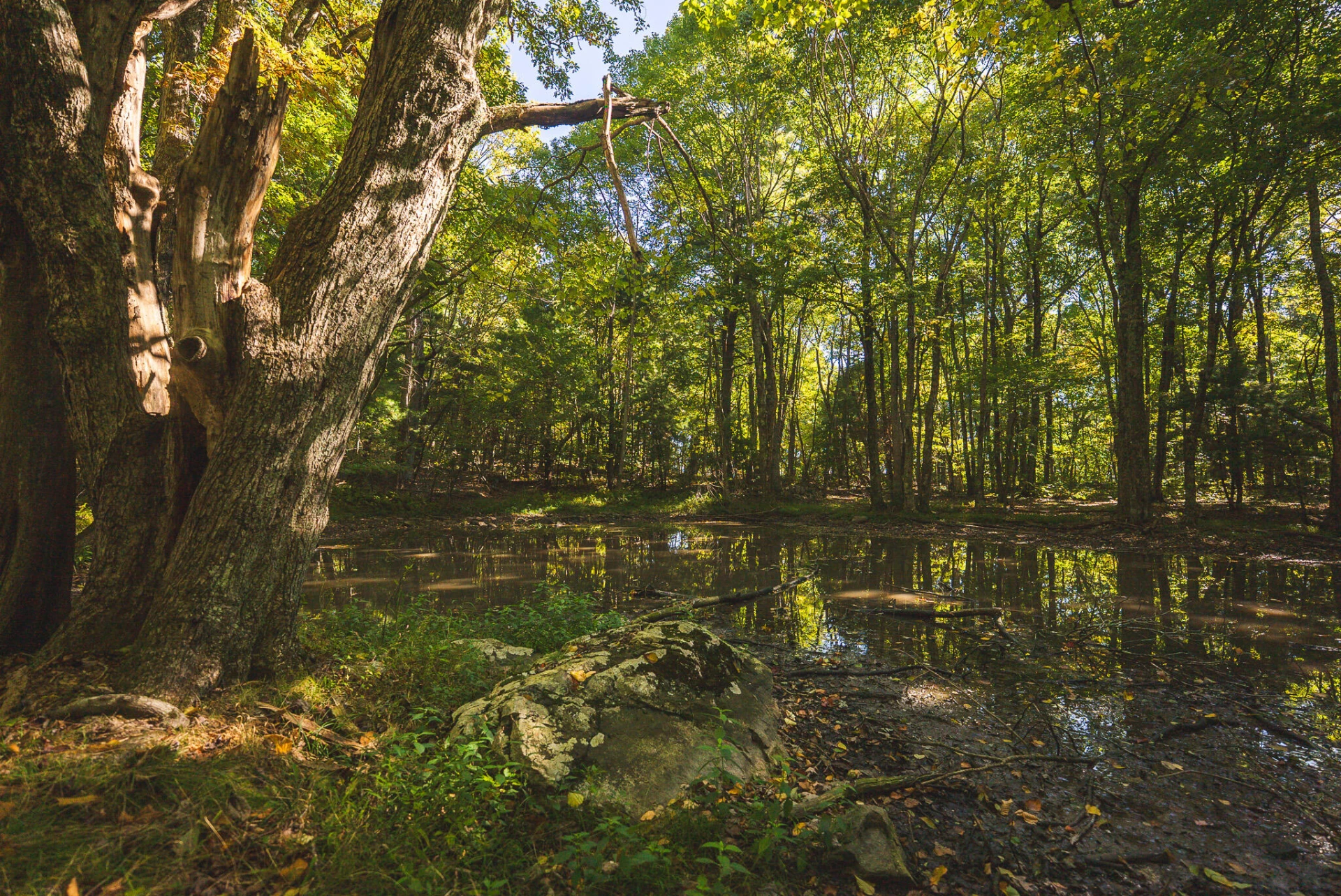 TBD Gator Mountain RD - Photo 54