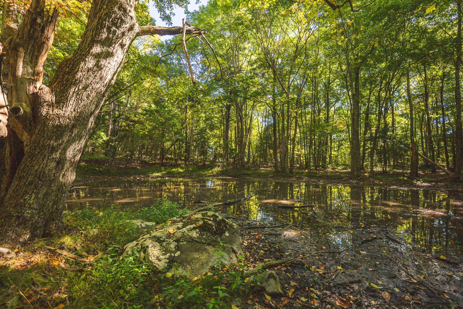 TBD Gator Mountain RD - Photo 55