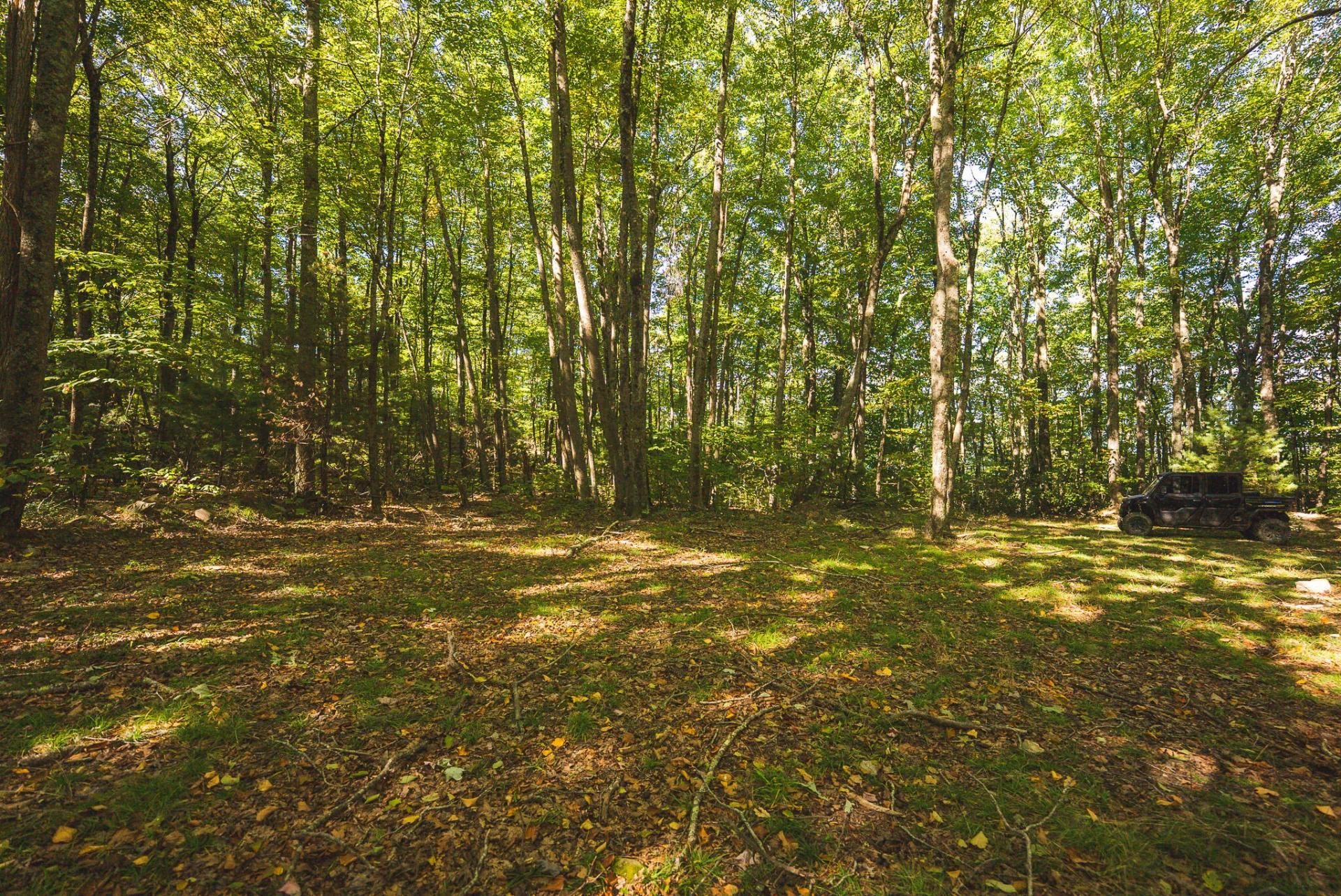 TBD Gator Mountain RD - Photo 56