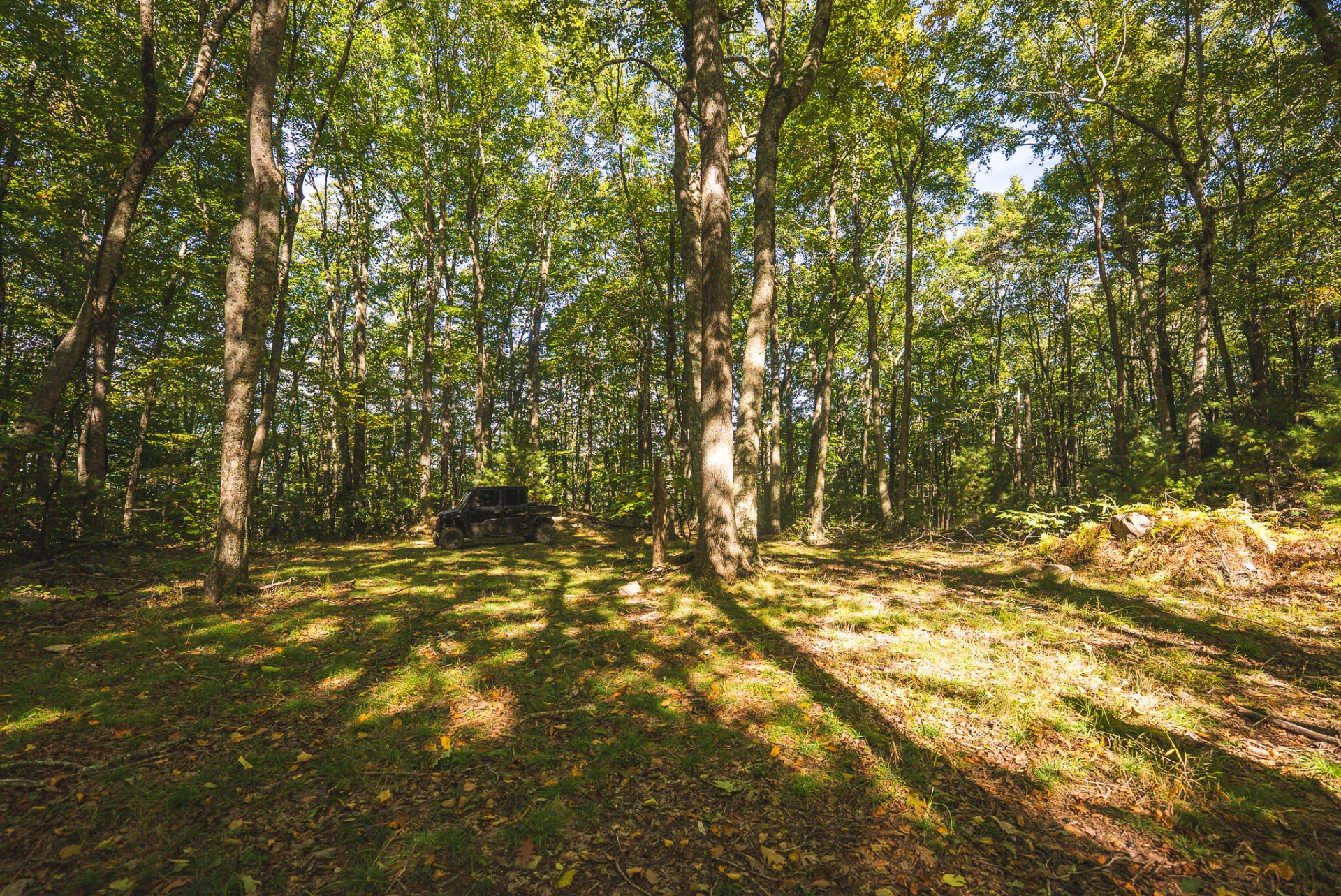 TBD Gator Mountain RD - Photo 57