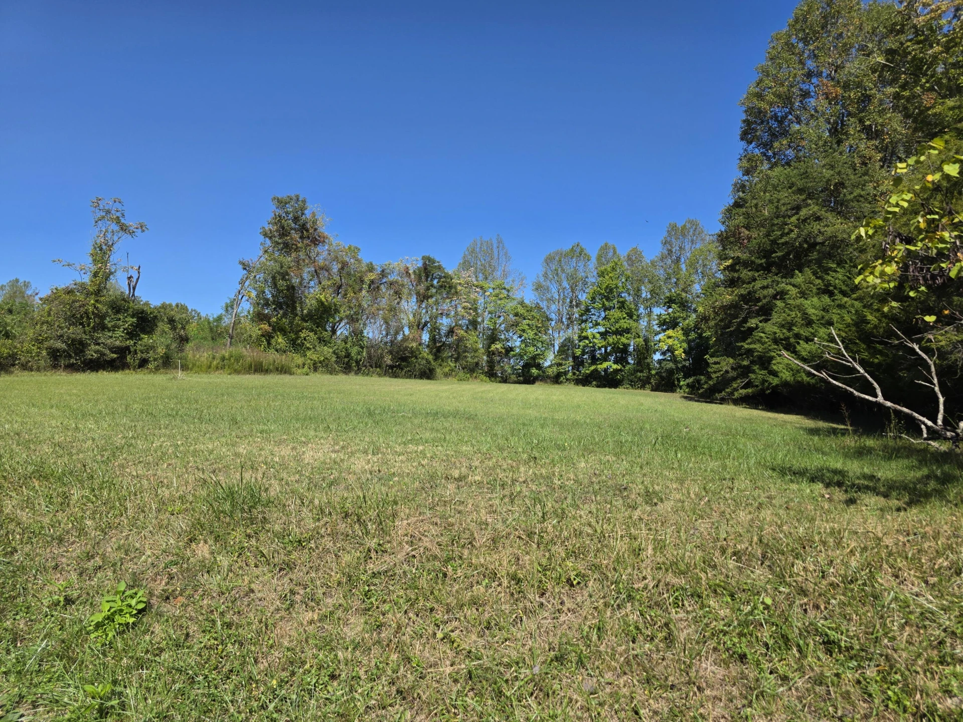 147 Hardin Reynolds RD - Photo 2