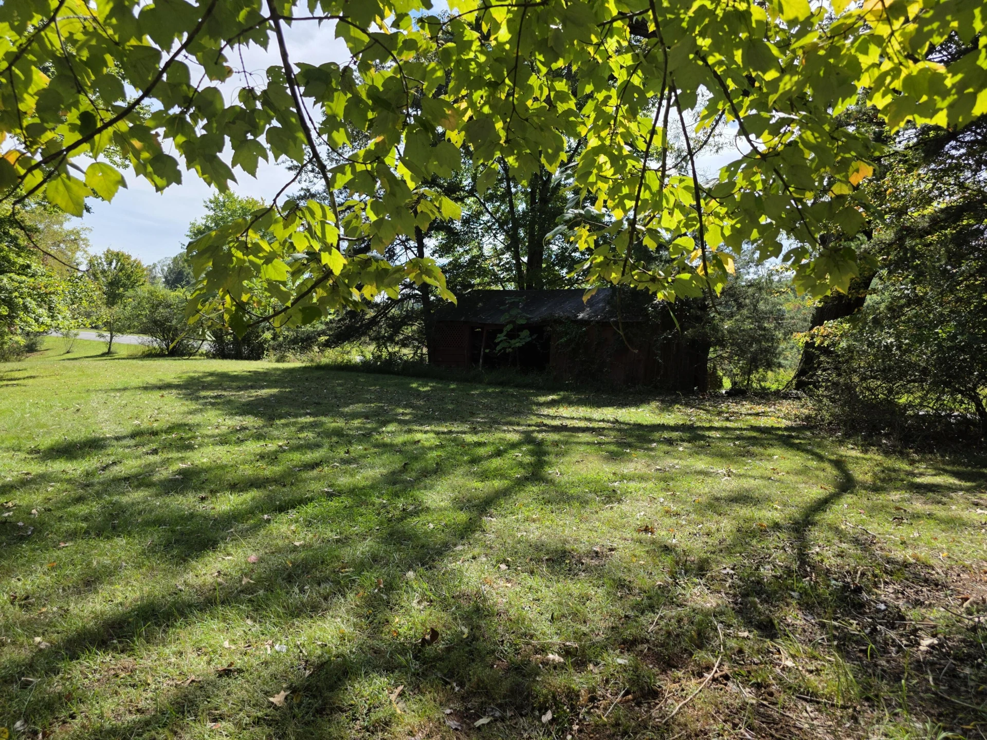 147 Hardin Reynolds RD - Photo 23