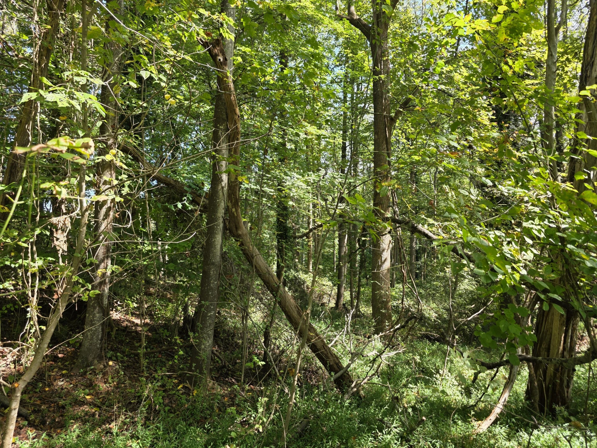 147 Hardin Reynolds RD - Photo 30