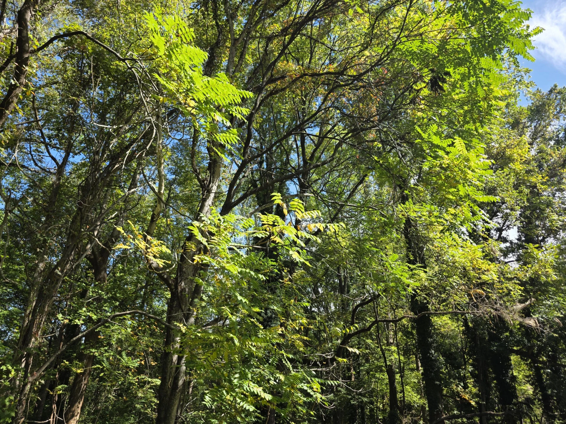 147 Hardin Reynolds RD - Photo 31