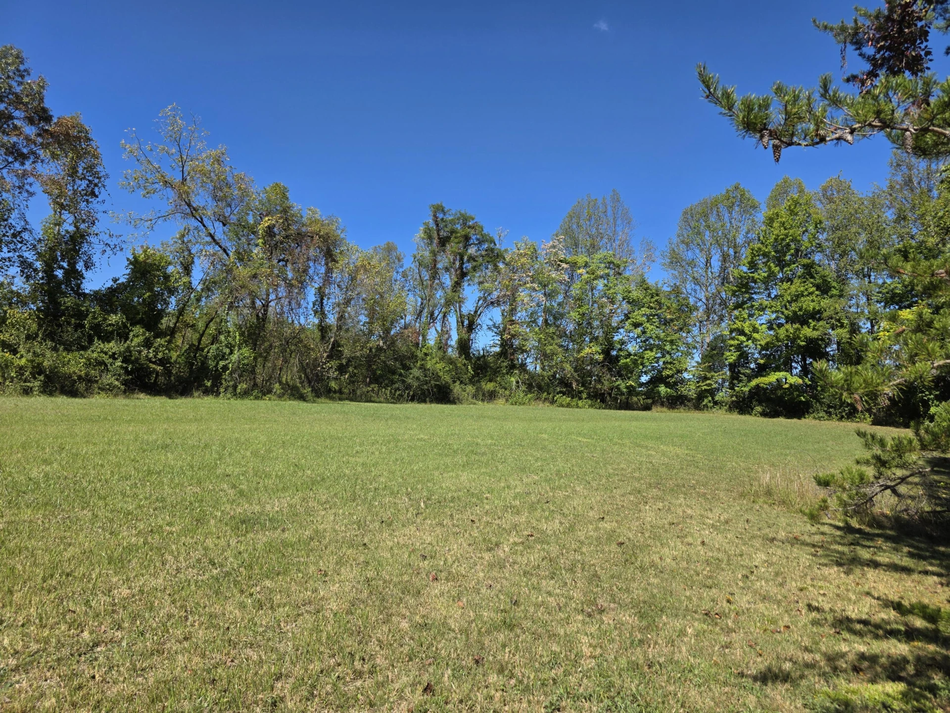 147 Hardin Reynolds RD - Photo 35