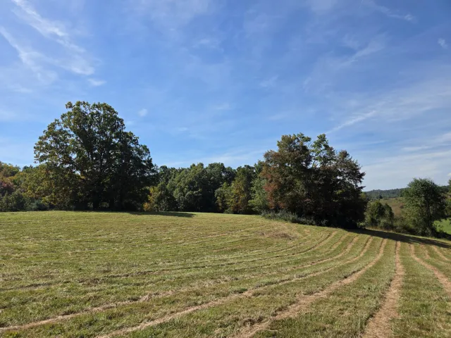 TBD Ridge RD