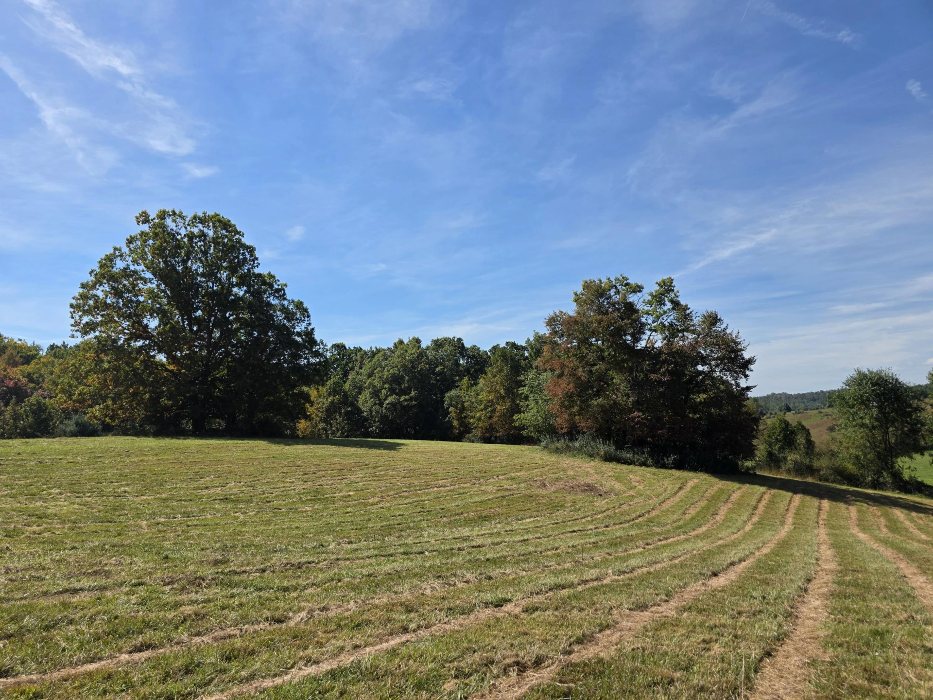 TBD Ridge RD