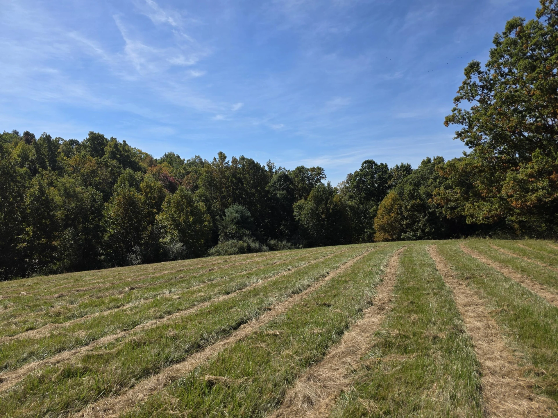 TBD Ridge RD - Photo 2