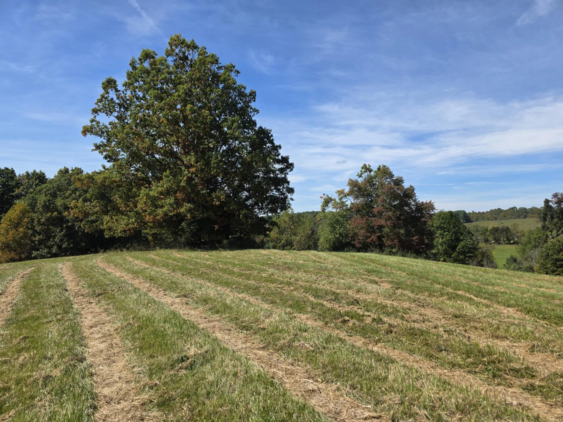 TBD Ridge RD - Photo 4