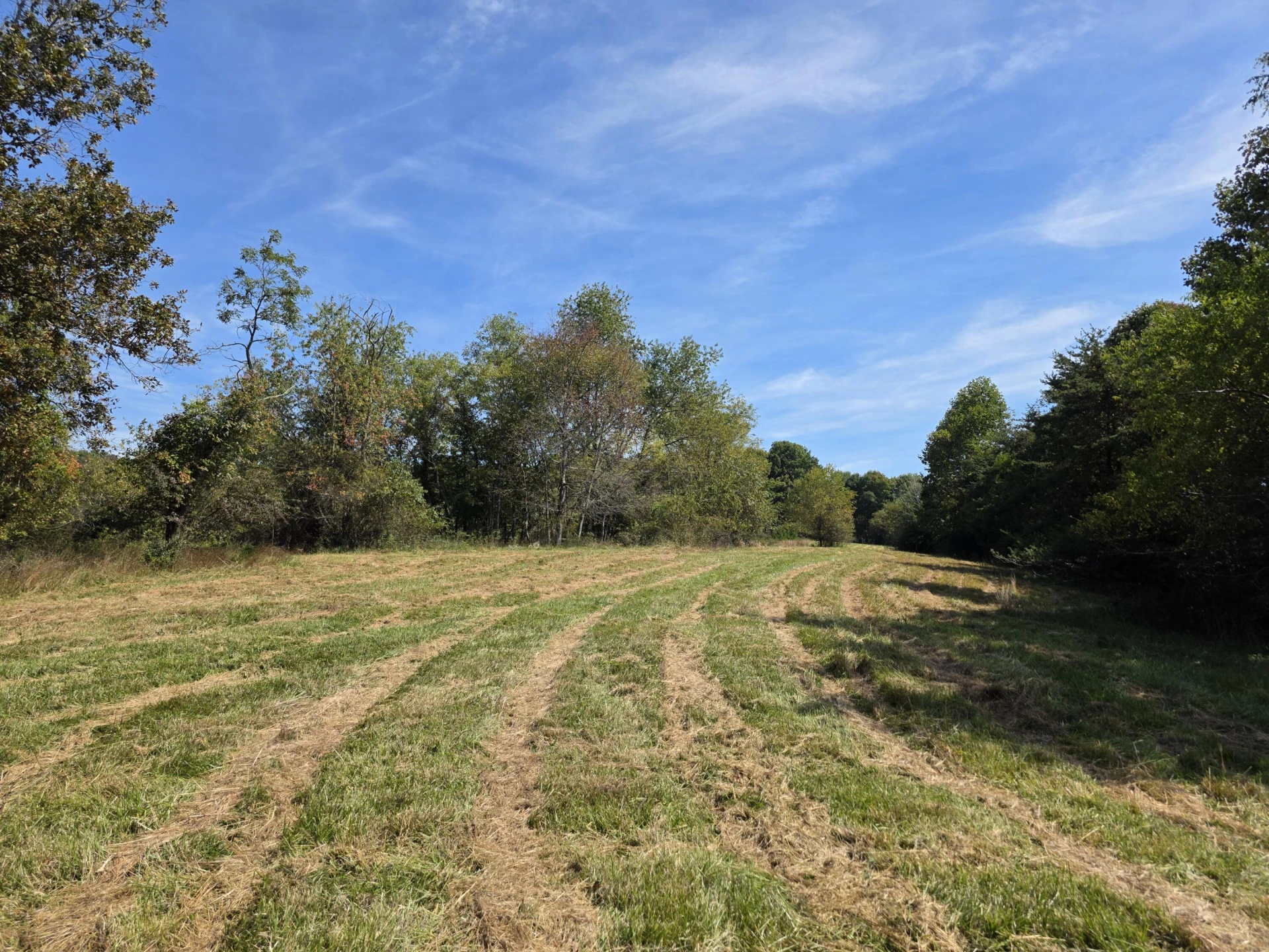 TBD Ridge RD - Photo 6