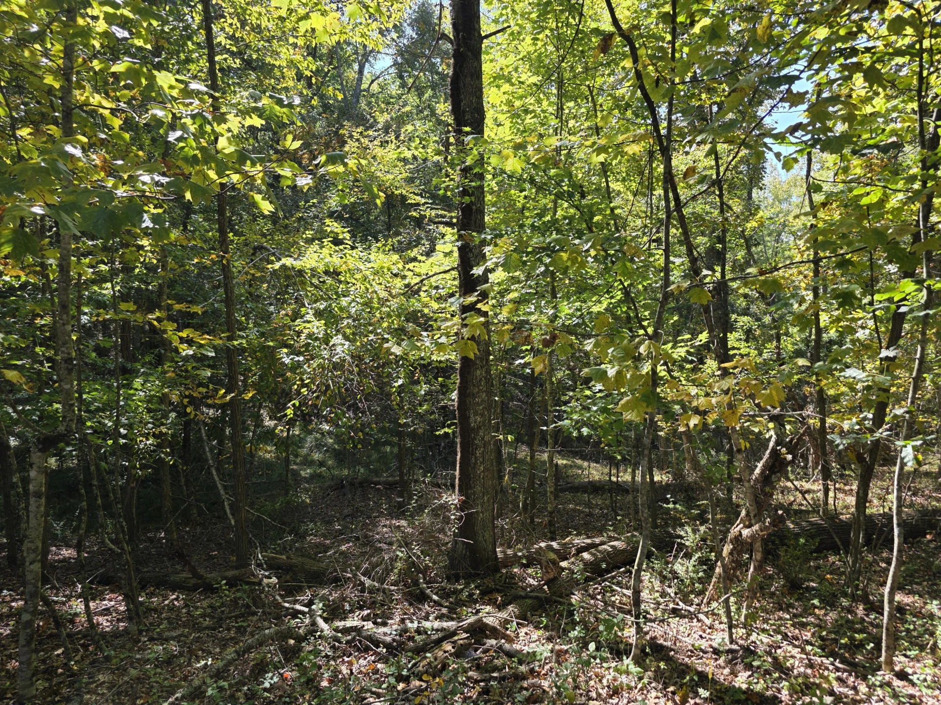 TBD Ridge RD - Photo 7