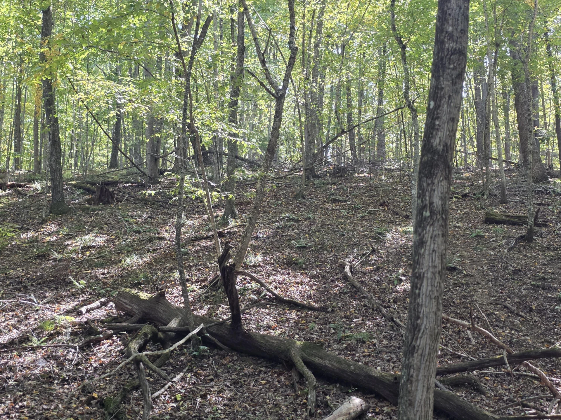 TBD Ridge RD - Photo 8
