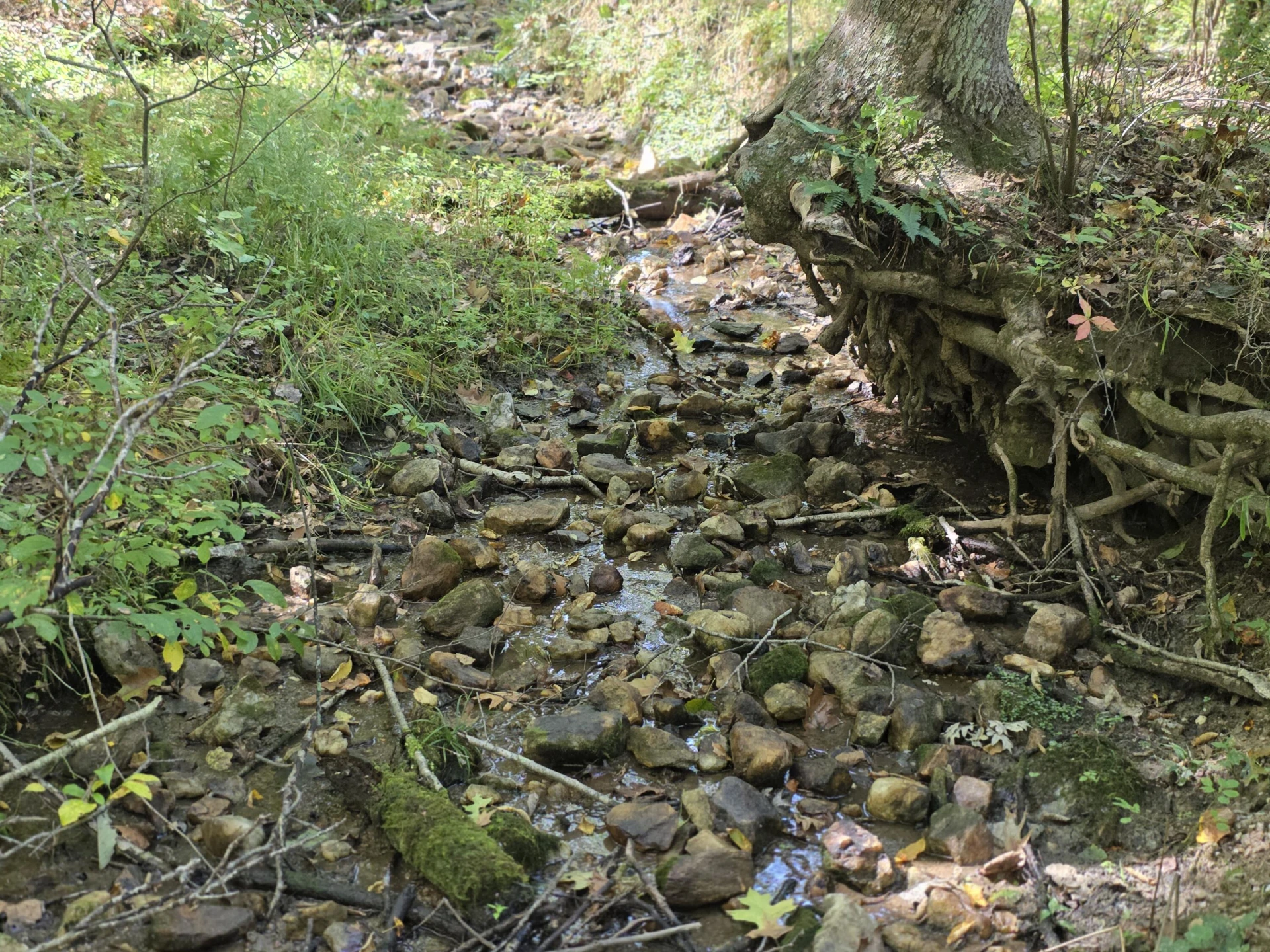 TBD Ridge RD - Photo 9