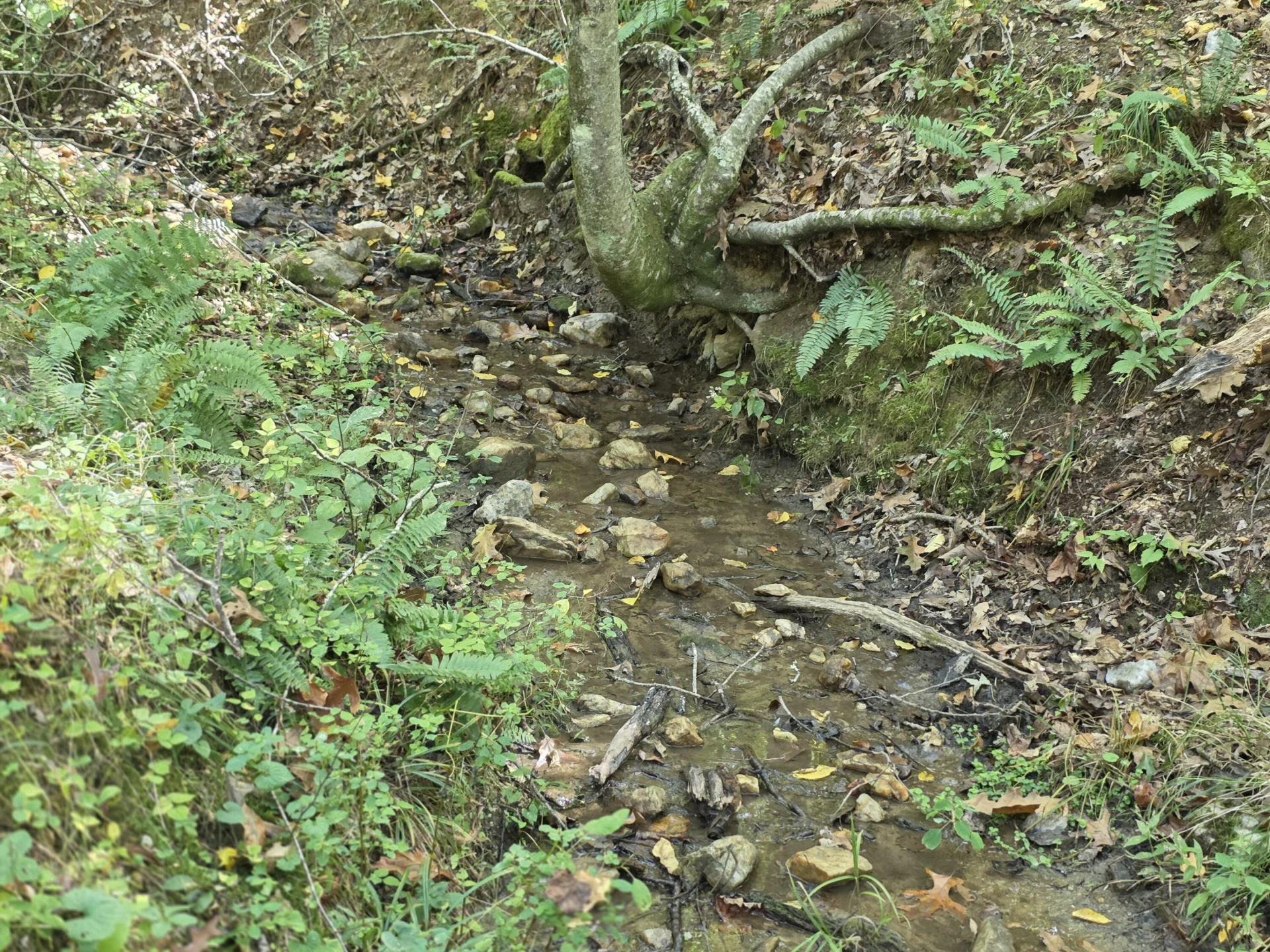 TBD Ridge RD - Photo 10