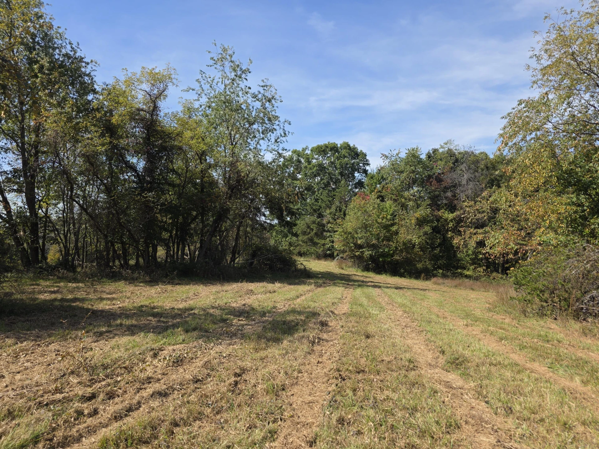 TBD Ridge RD - Photo 11