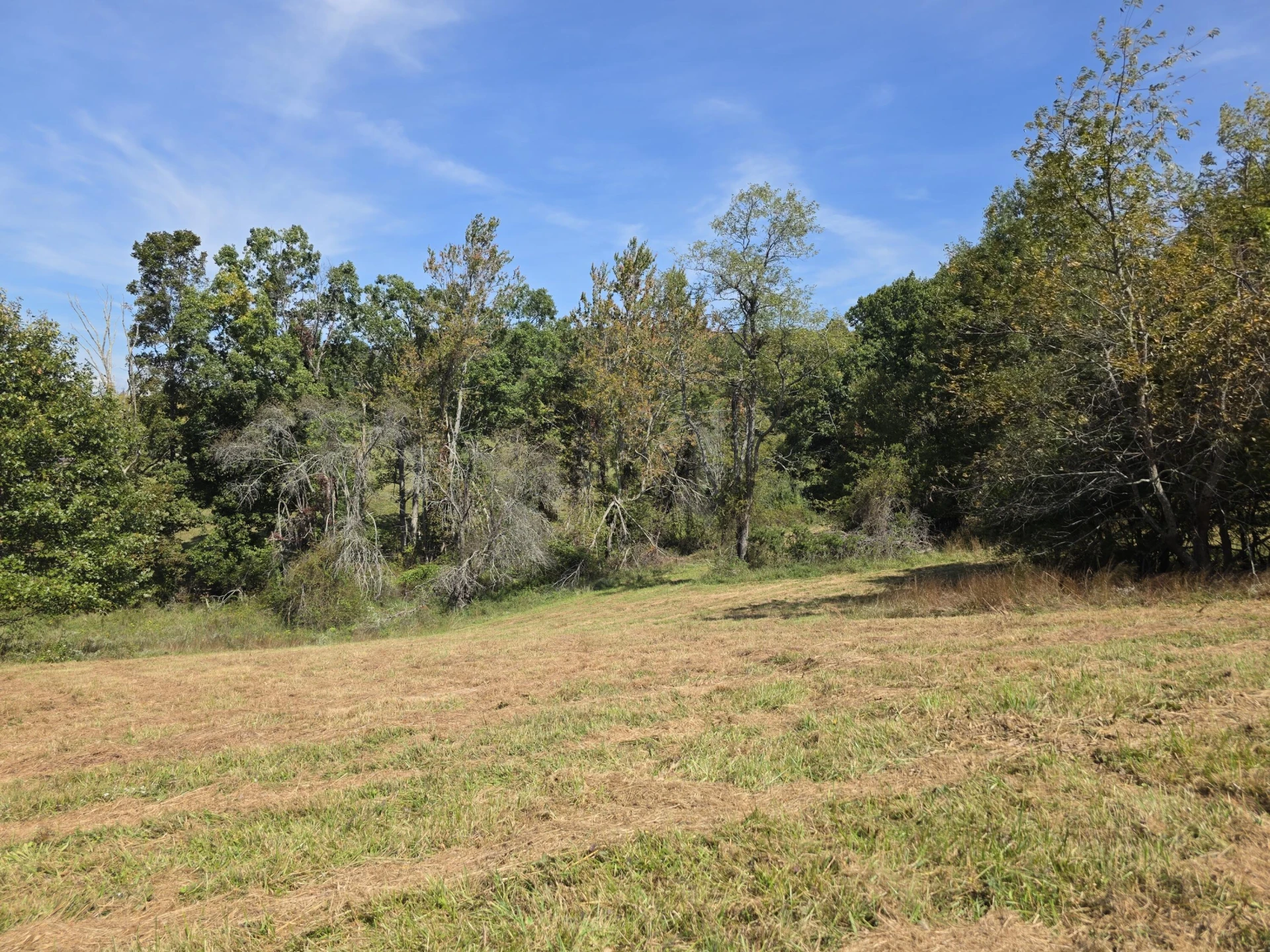 TBD Ridge RD - Photo 12