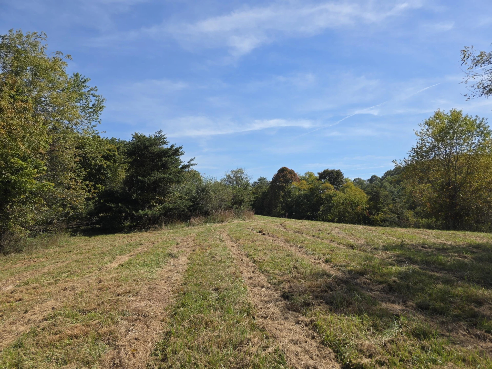 TBD Ridge RD - Photo 13