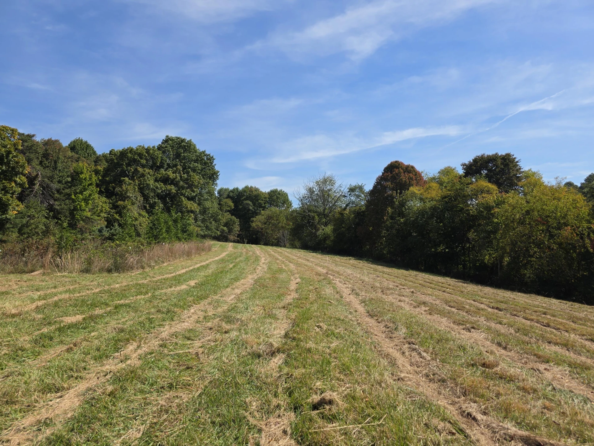 TBD Ridge RD - Photo 14
