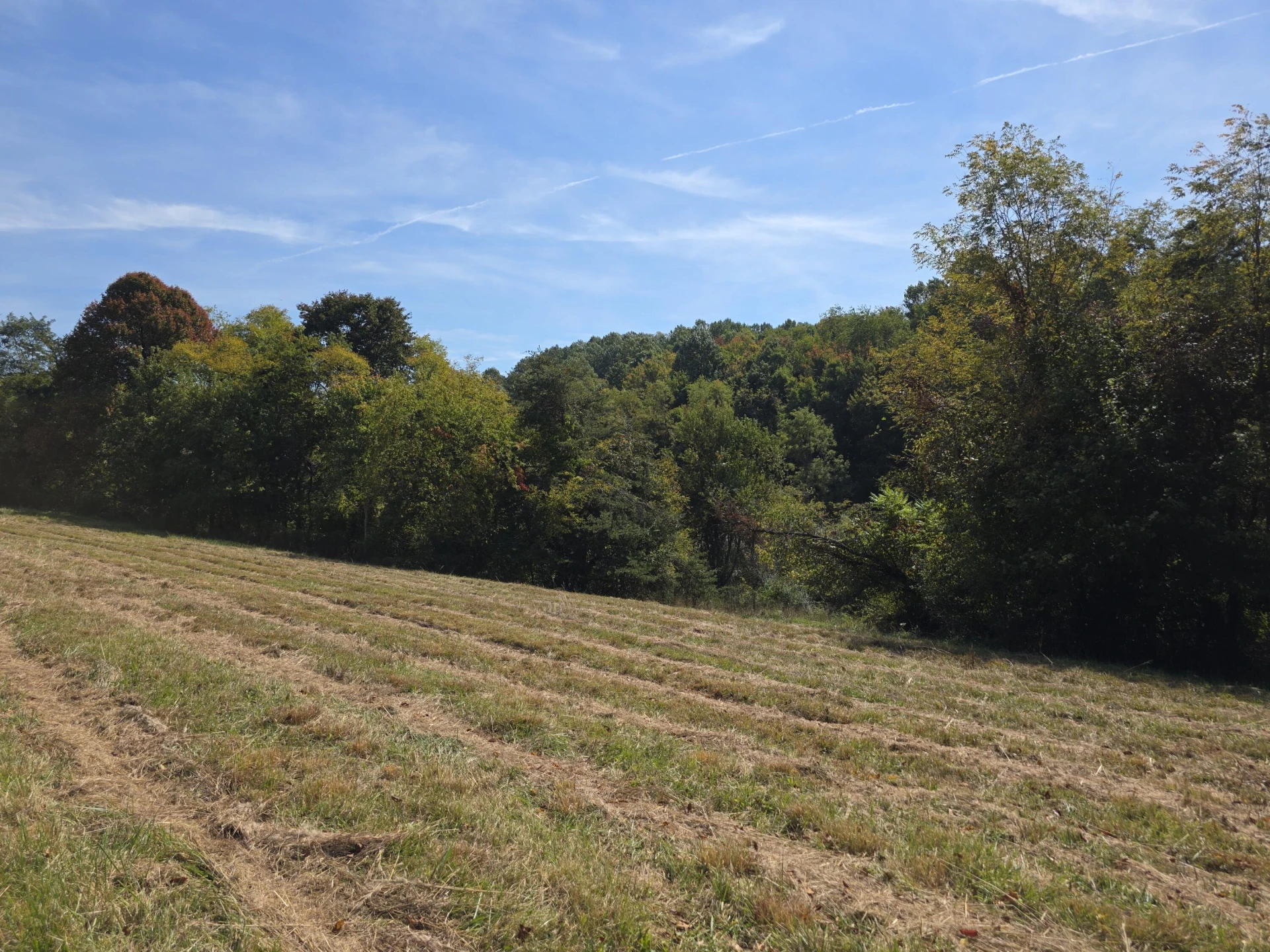 TBD Ridge RD - Photo 15