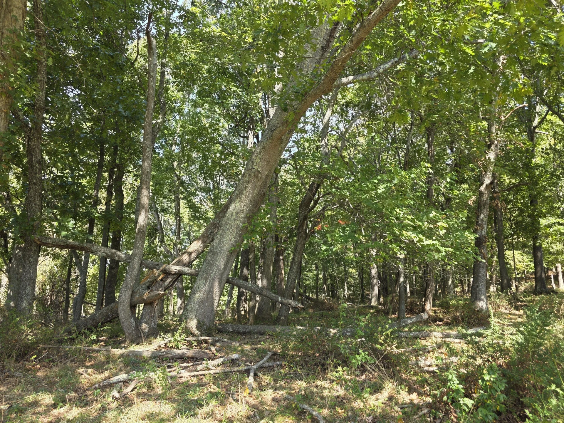 TBD Ridge RD - Photo 17