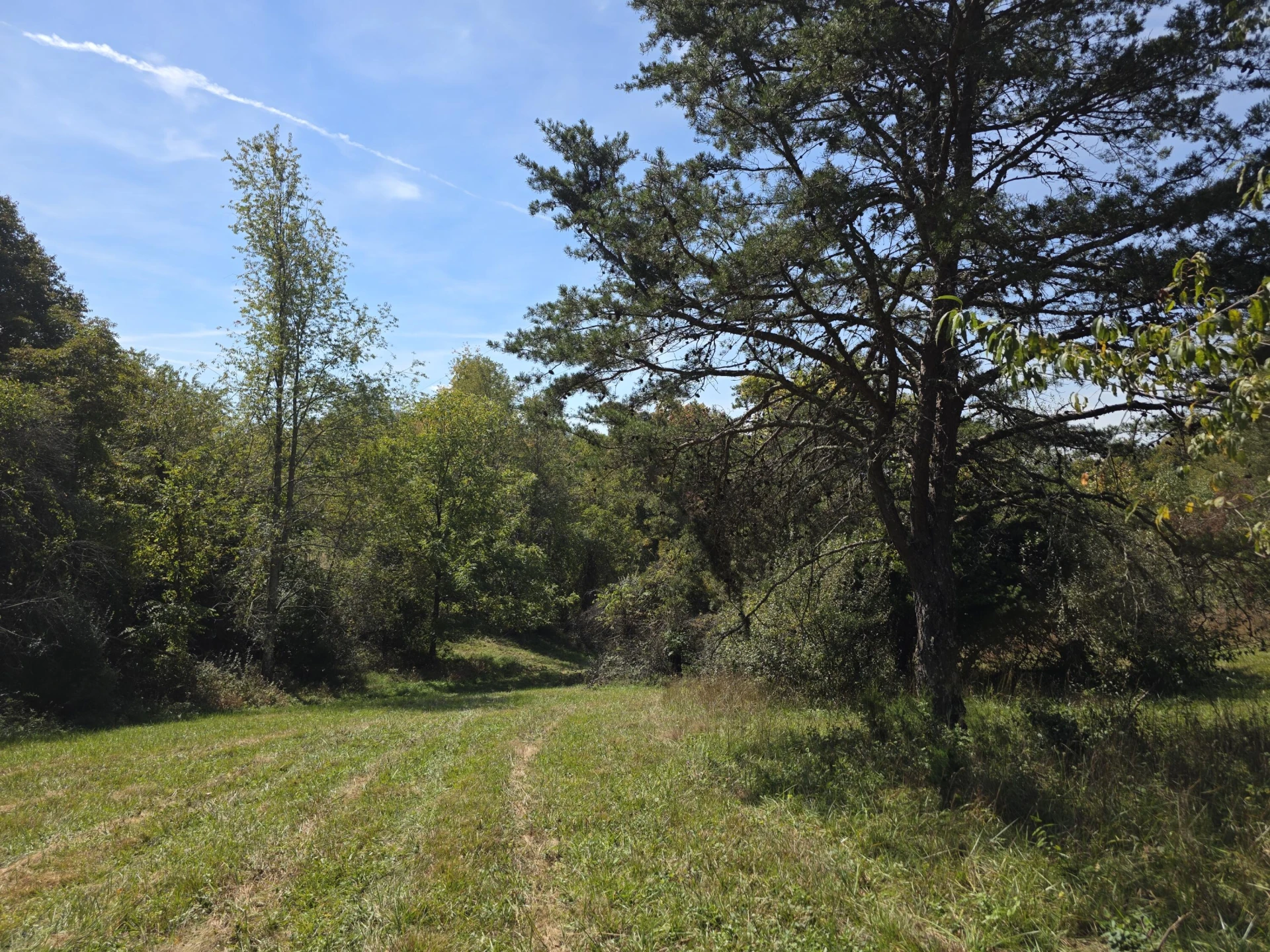 TBD Ridge RD - Photo 24