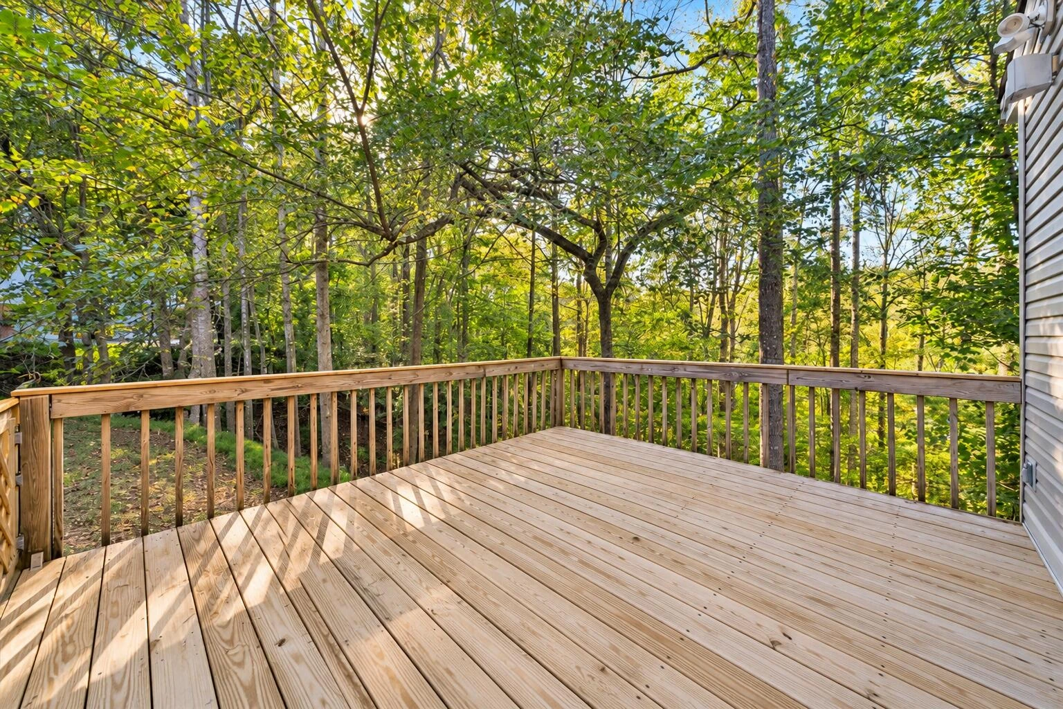 5539 Highfields RD - Photo 19