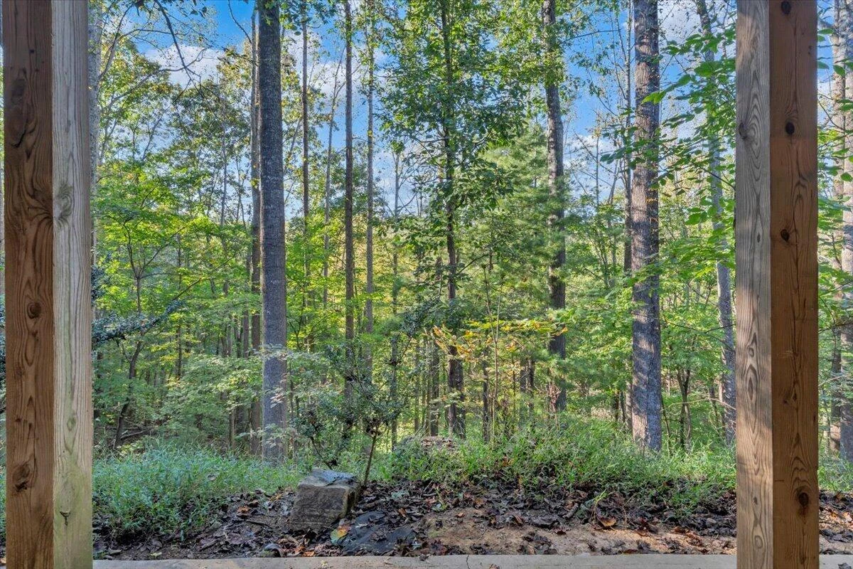 5539 Highfields RD - Photo 45