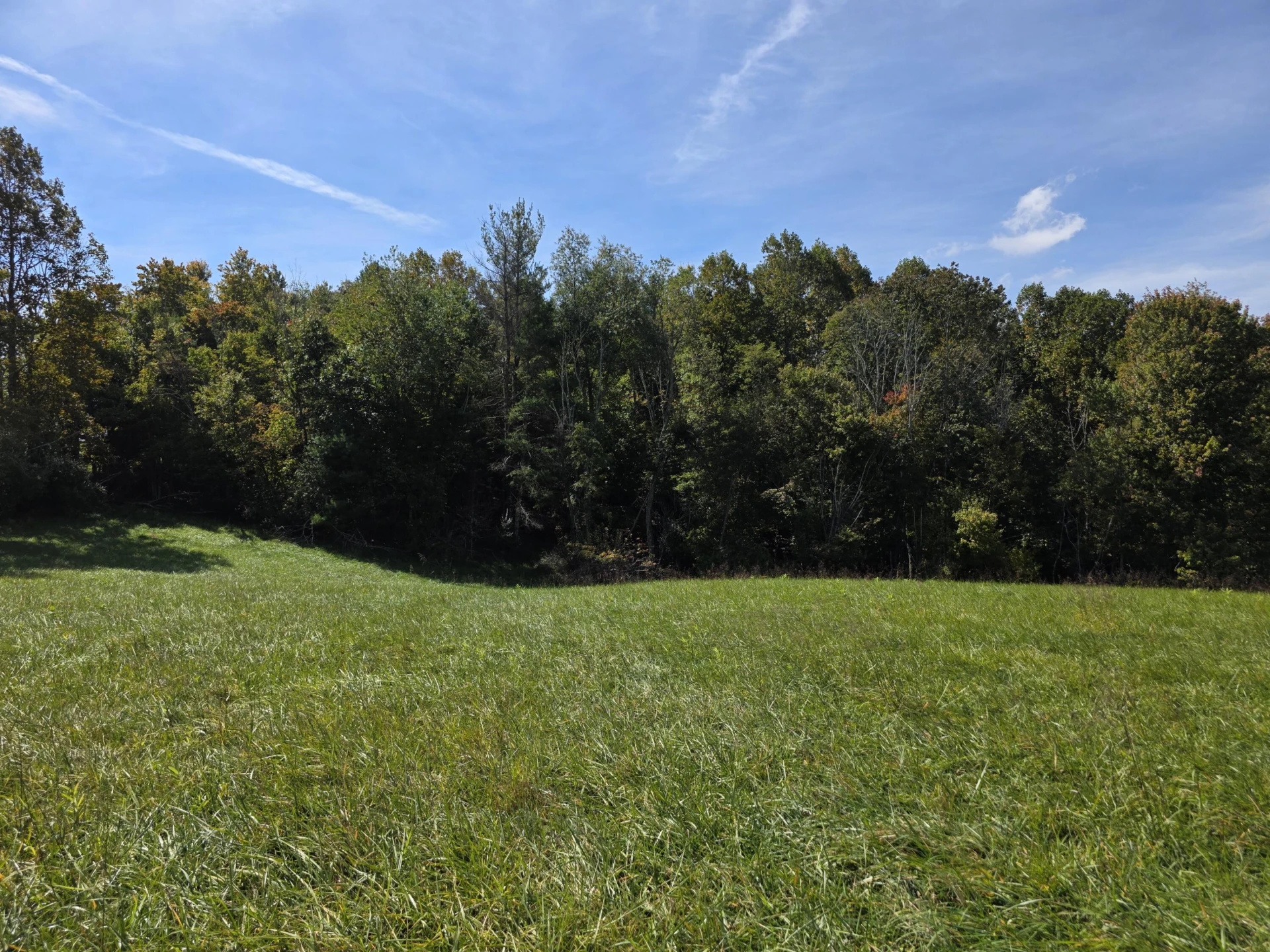 292 Ridge RD NE - Photo 3