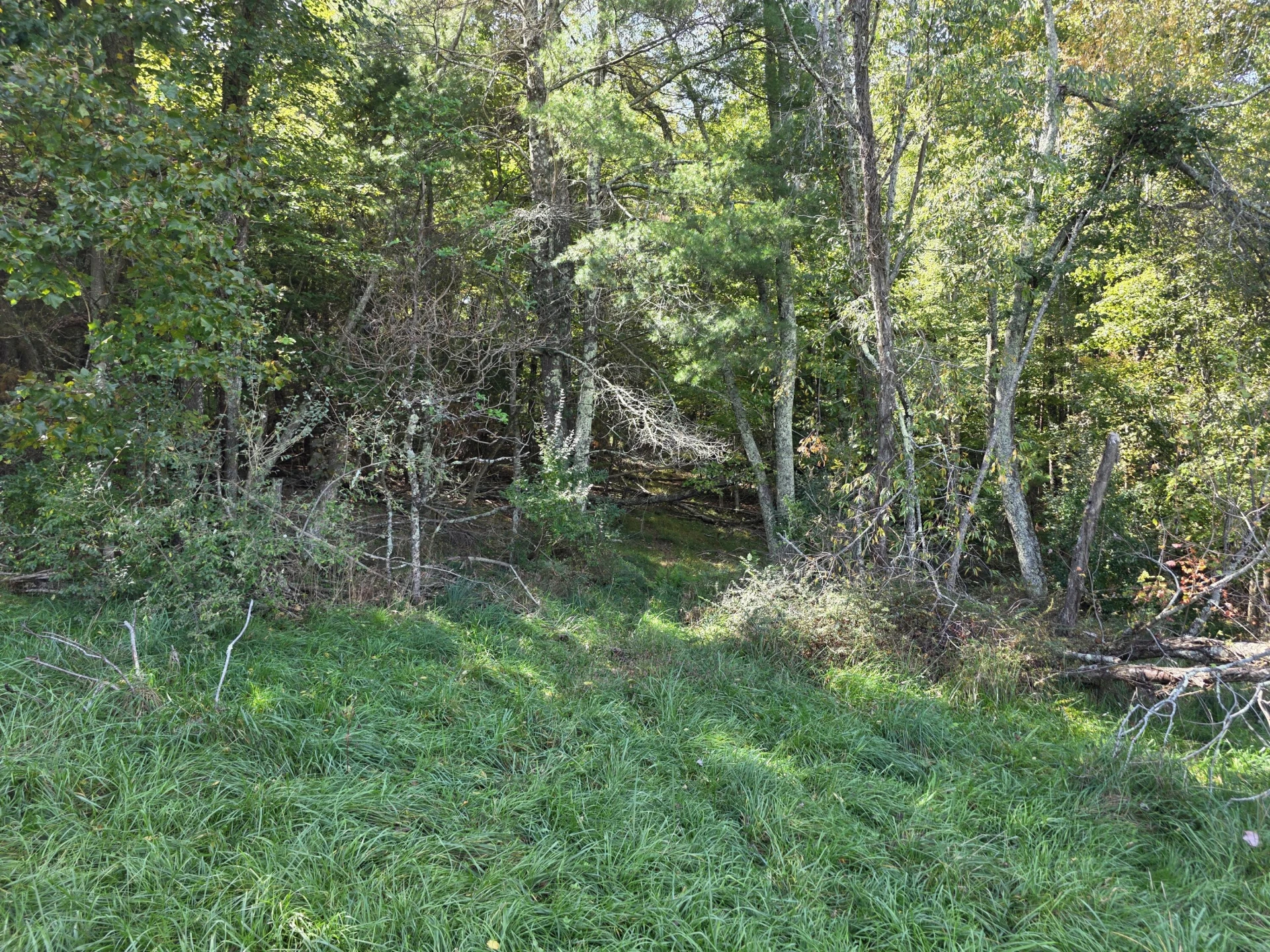 292 Ridge RD NE - Photo 6