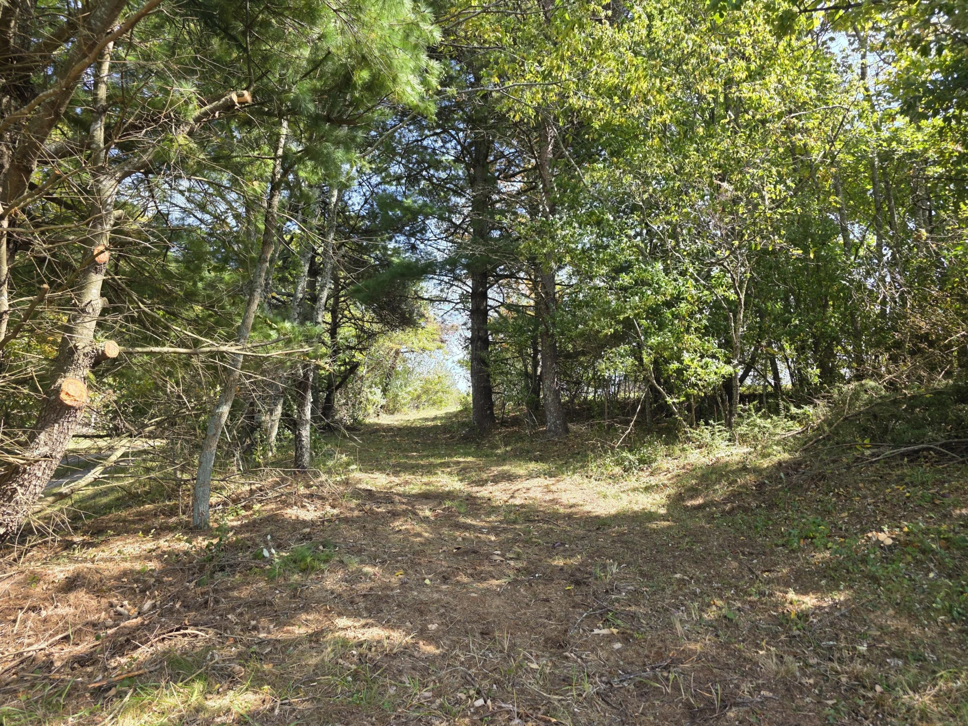 292 Ridge RD NE - Photo 17