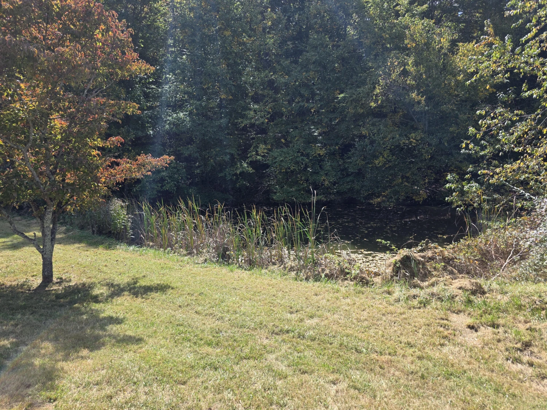 292 Ridge RD NE - Photo 24