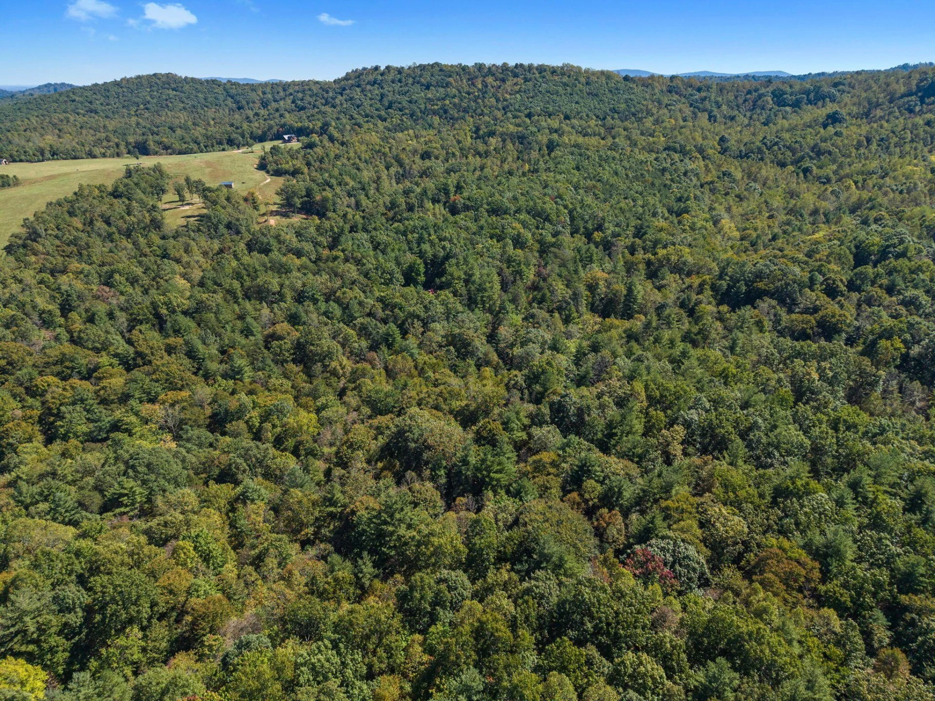 2750 Waidsboro RD - Photo 41