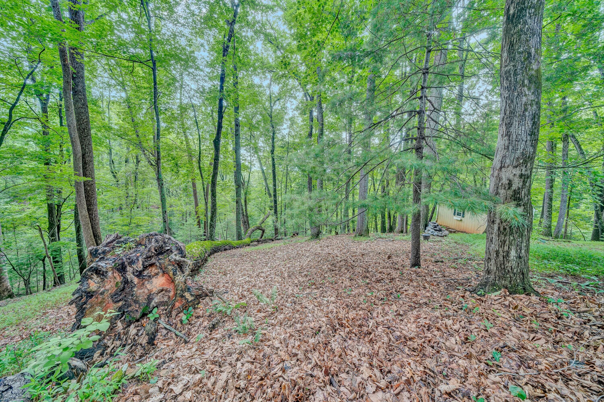 6721 Crowell Gap RD - Photo 41