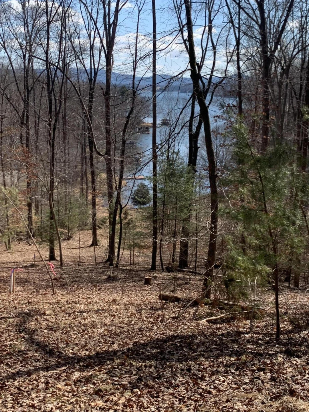 Lots 7B,7C Fox Chase RD - Photo 2