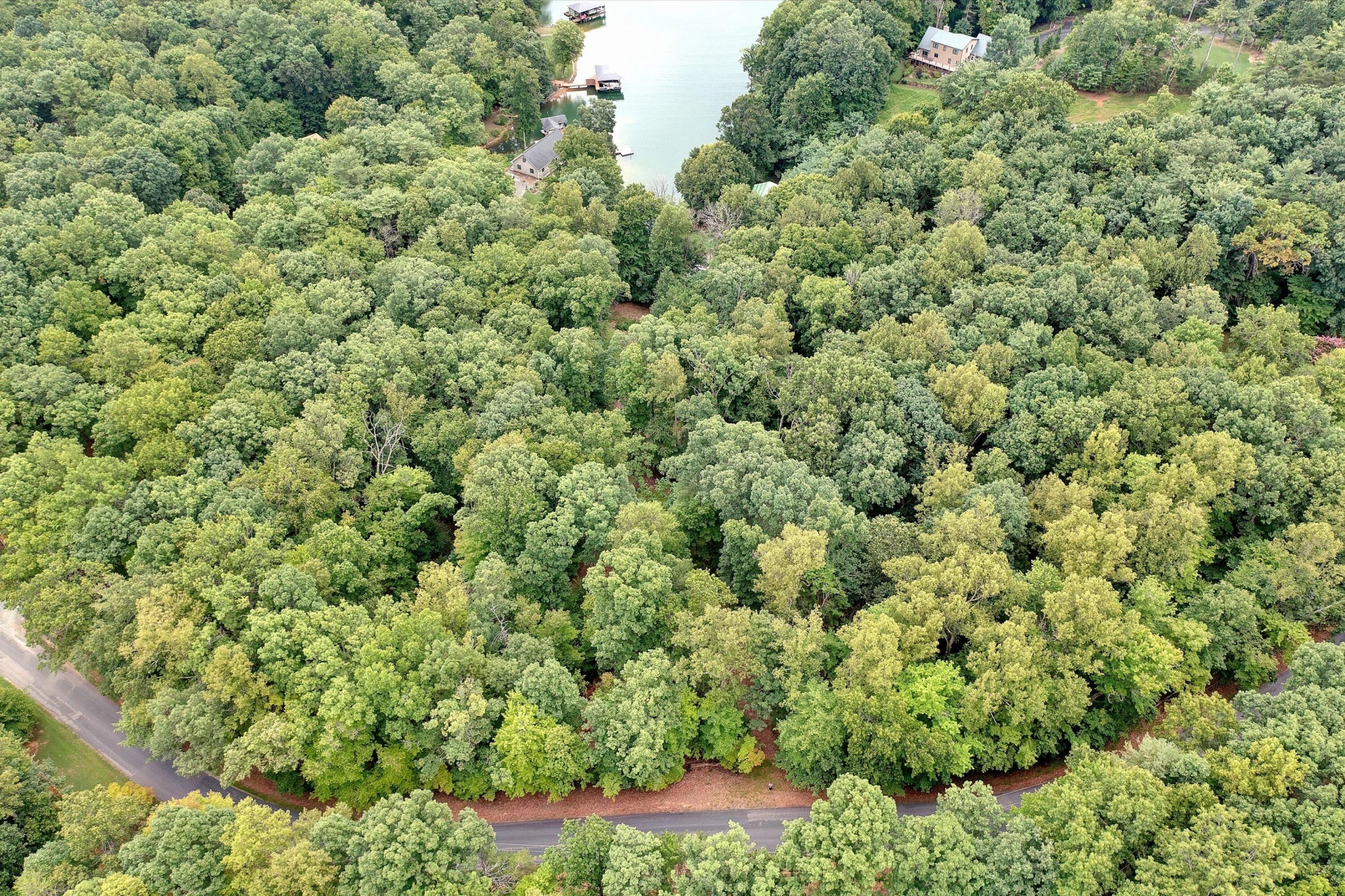 Lots 7B,7C Fox Chase RD - Photo 6