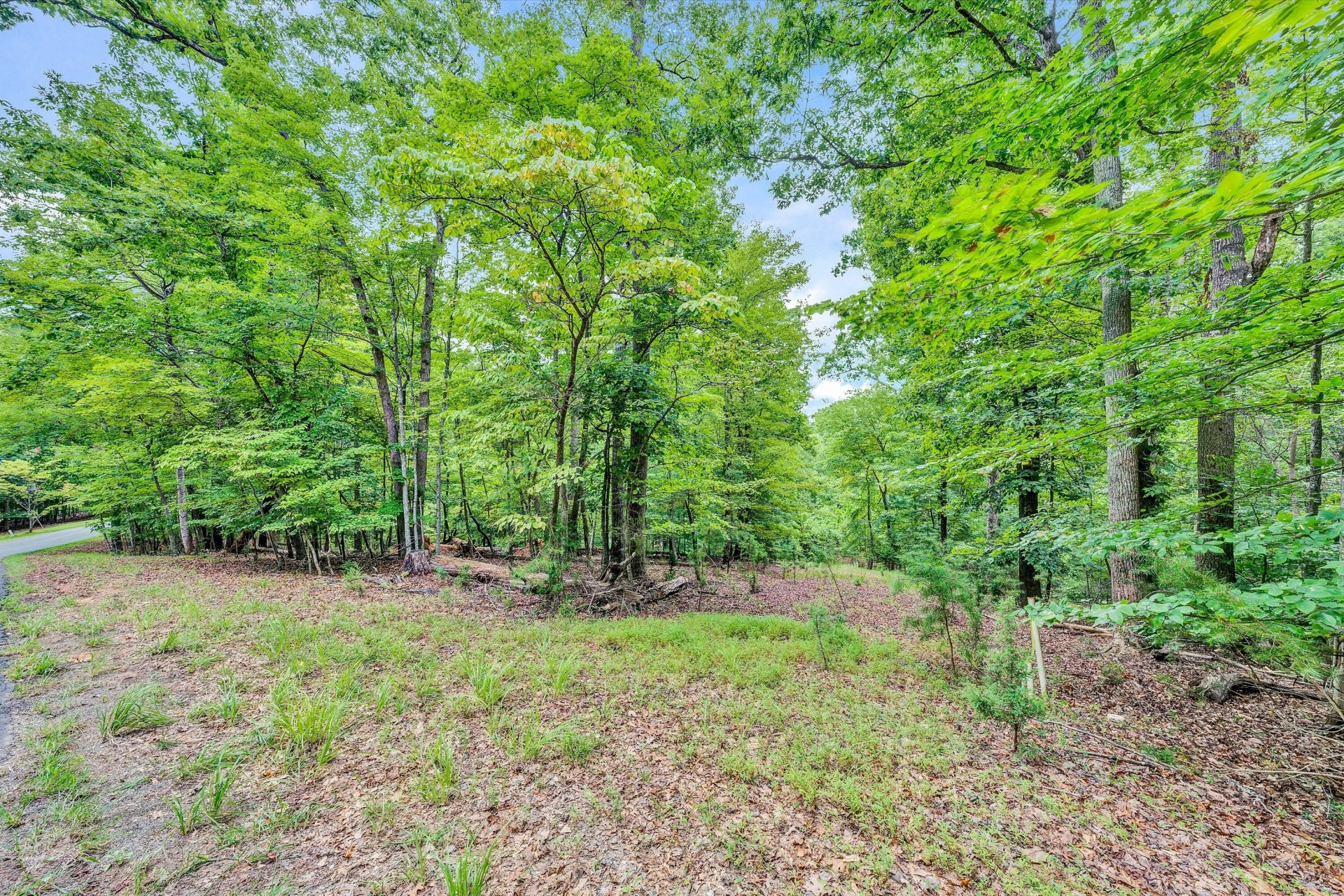 Lots 7B,7C Fox Chase RD - Photo 9