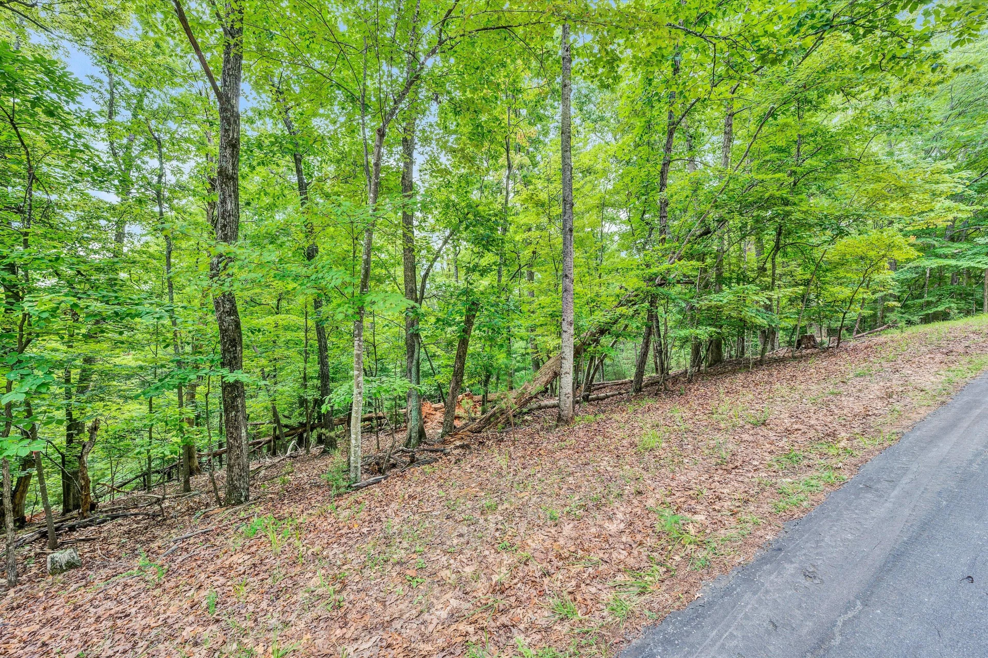 Lots 7B,7C Fox Chase RD - Photo 10