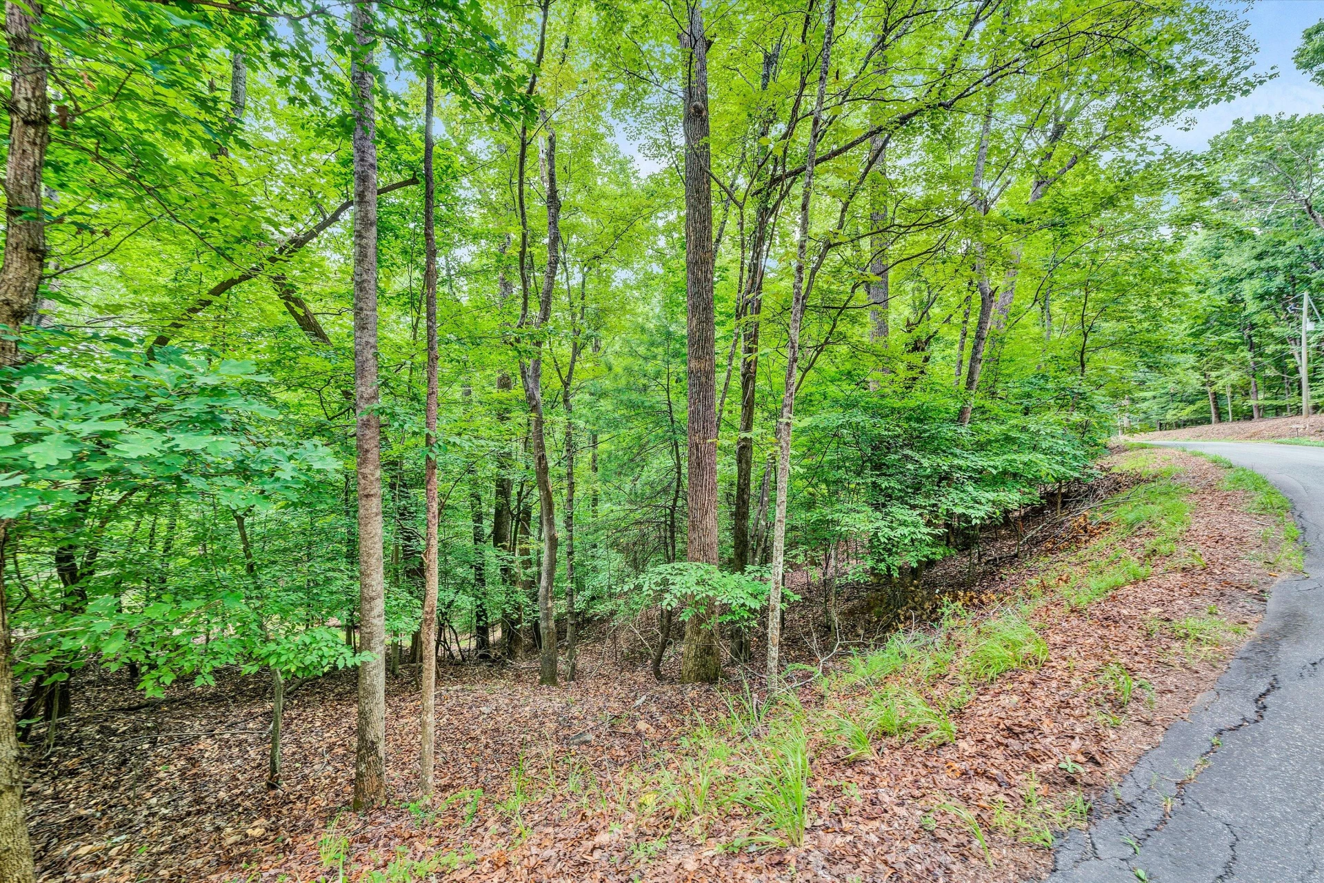 Lots 7B,7C Fox Chase RD - Photo 11