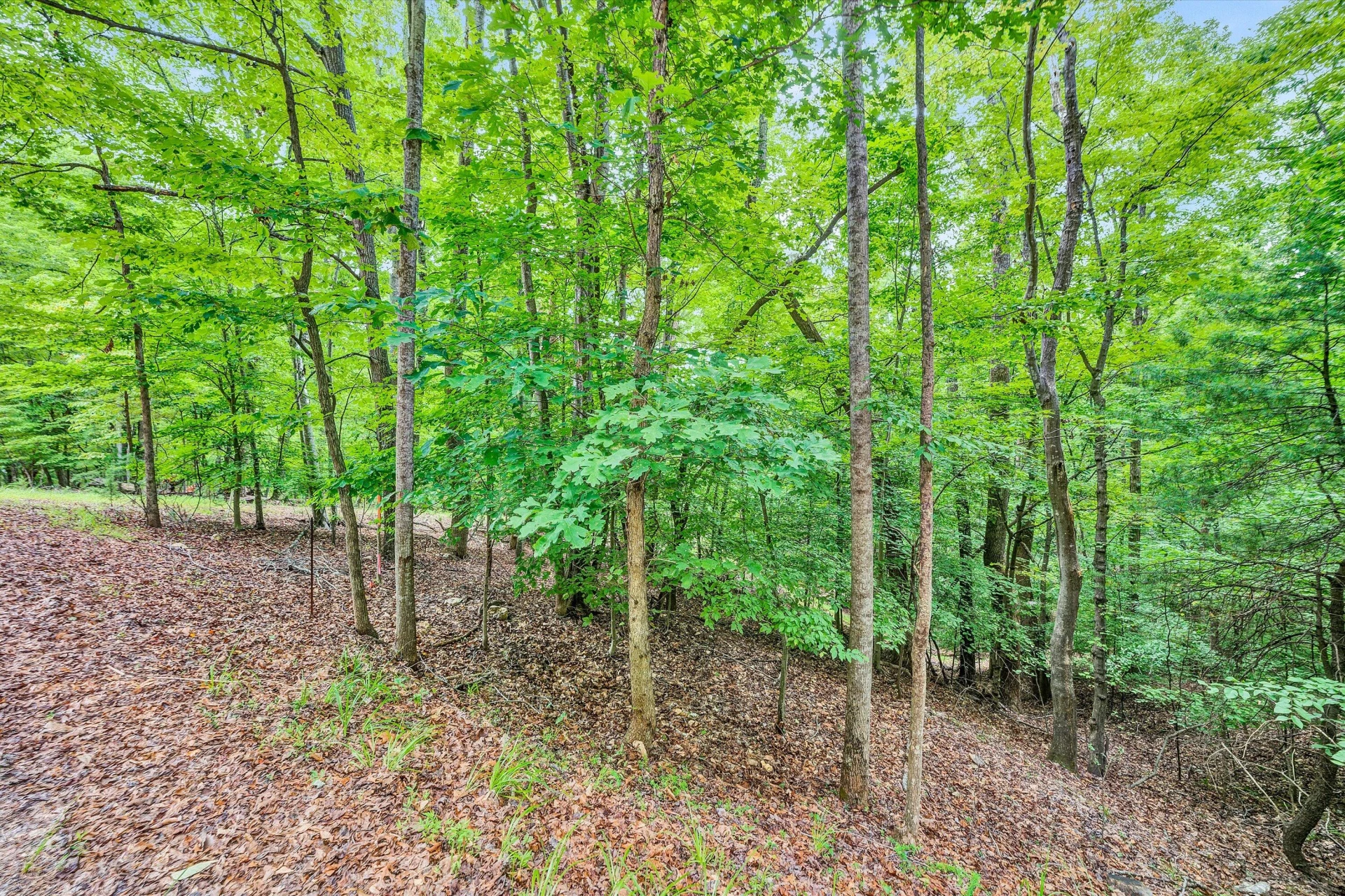 Lots 7B,7C Fox Chase RD - Photo 12