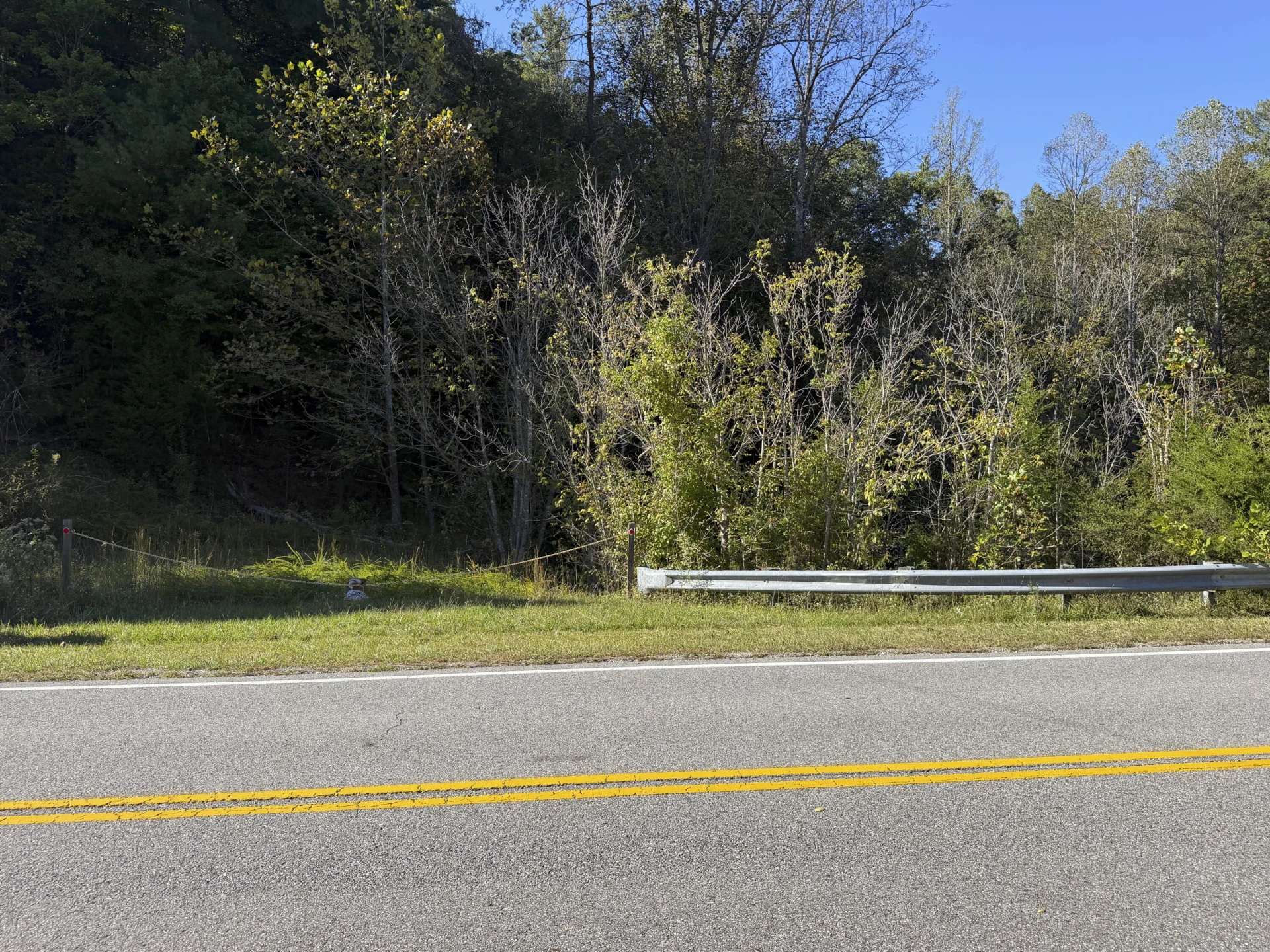 0 Yellow Mountain RD - Photo 2
