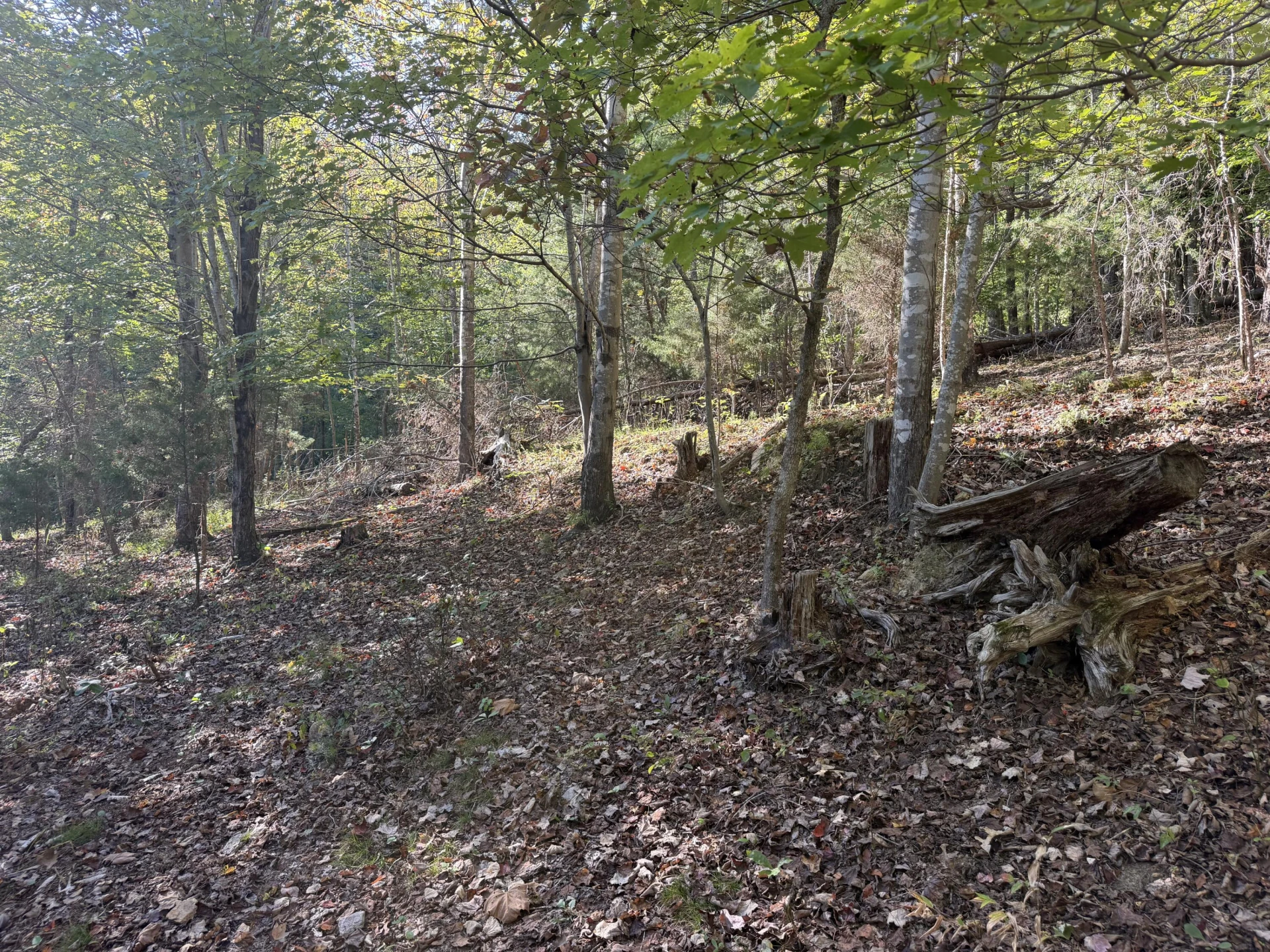 0 Yellow Mountain RD - Photo 3